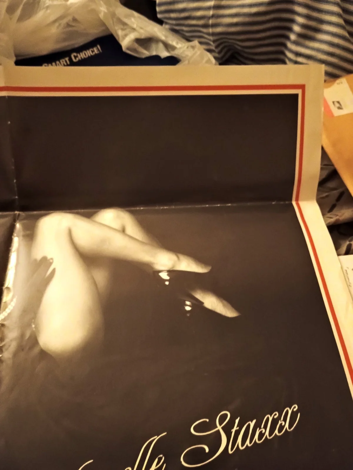 SHANELLE STAXX MISS NUDE UNIVERSE AUTOGRAPHED POSTER, изображение 2