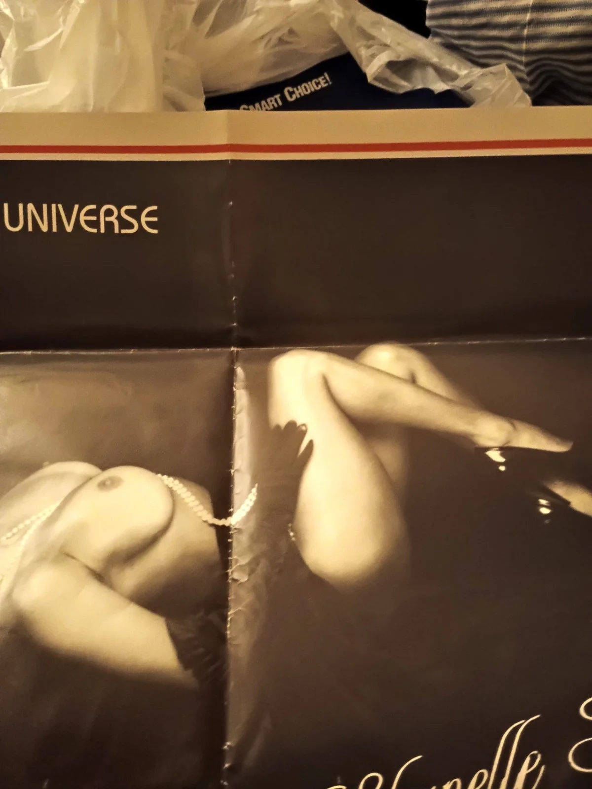 SHANELLE STAXX MISS NUDE UNIVERSE AUTOGRAPHED POSTER, изображение 4