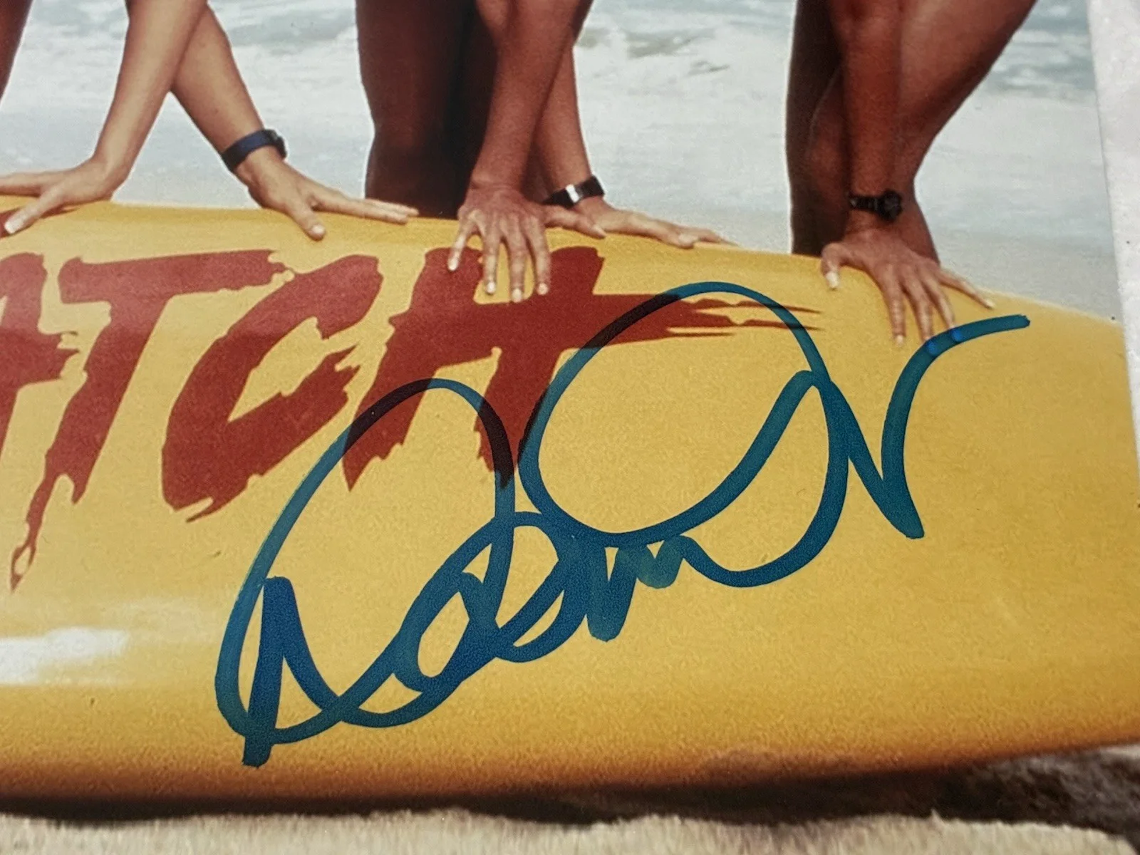Donna D'Errico — DONNA D'ERRICO SIGNED 8X10 BEAUTIFUL SEXY BAYWATCH ACTRESS PLAYBOY PLAYMATE JSA, изображение 3