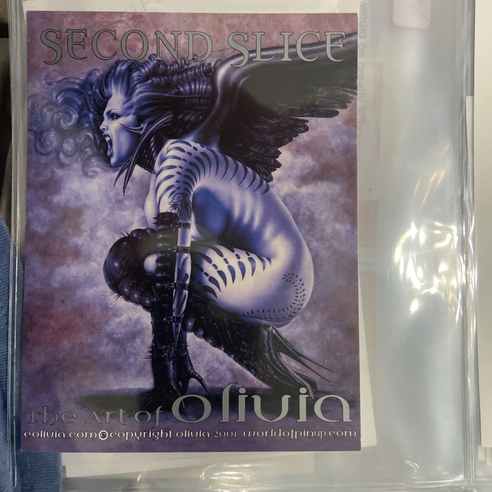 JULIE STRAIN — JULIE STRAIN Signed Promo For Her Fan Club Heavy Metal - B Movie actress Hottie, изображение 3