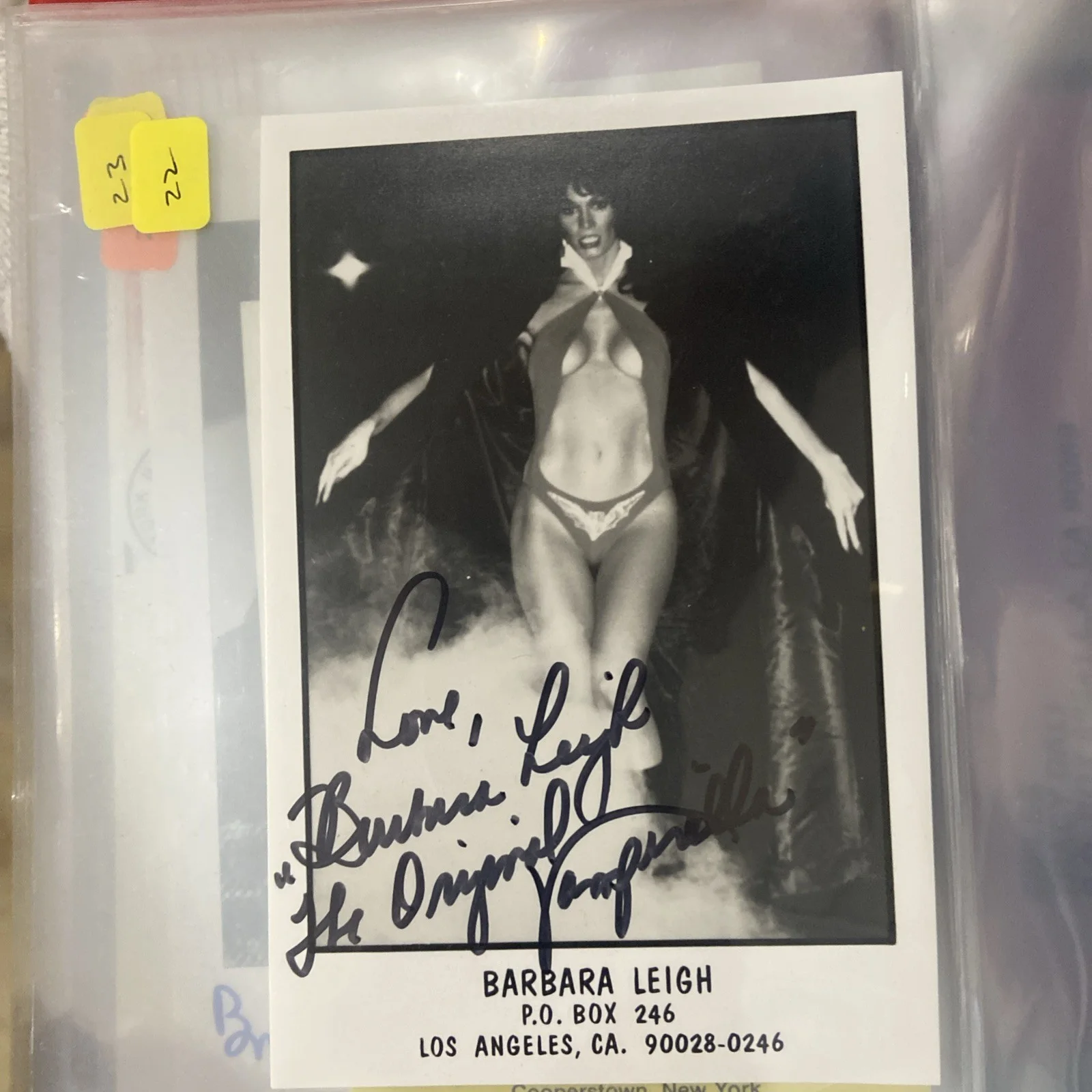 barbara Leigh — Barbara Leigh Actress Signed Promo Picture 4” X 6” Vampirella photo hottie, изображение 2