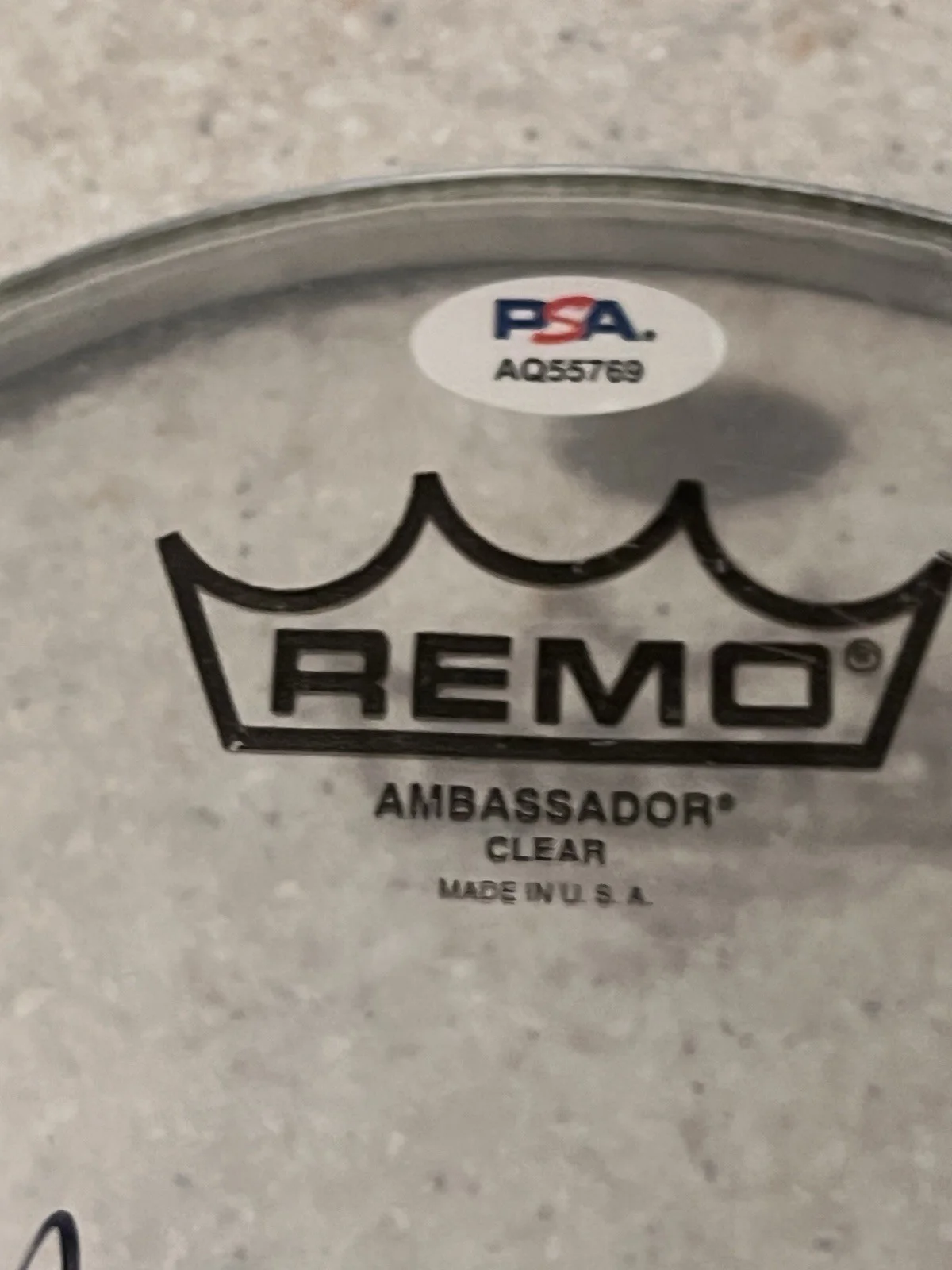 Paul Bostaph Signed Drumhead PSA / DNA COA Slayer Kerry King Autograph Auto, image 3