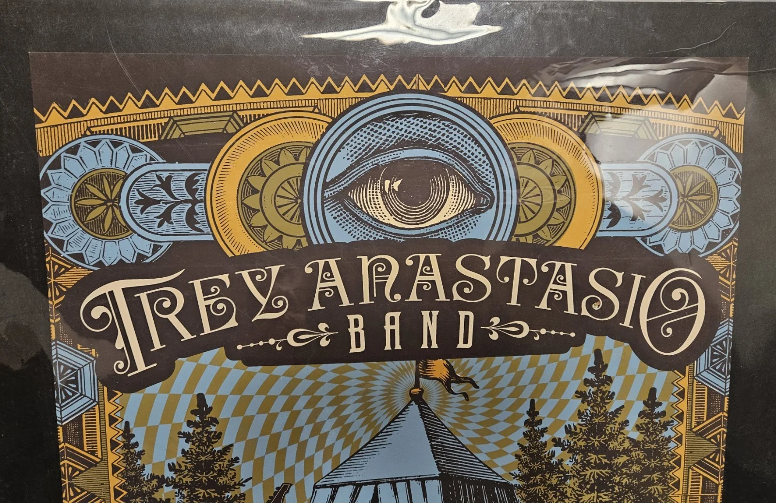 53/300 Signed Ltd Ed TREY ANASTASIO BAND Concert Poster Denver Colorado FOX TENT, изображение 2