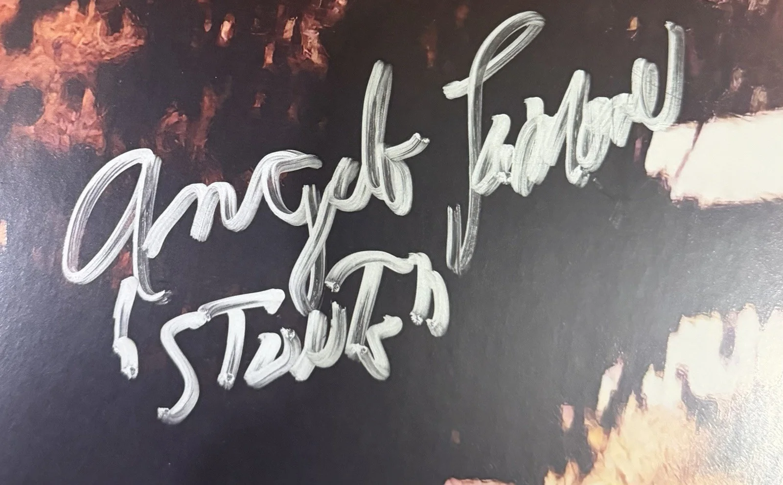 The Dukes of Hazzard Stuntman Angelo Lamonea Signed 11x17 Poster, изображение 2