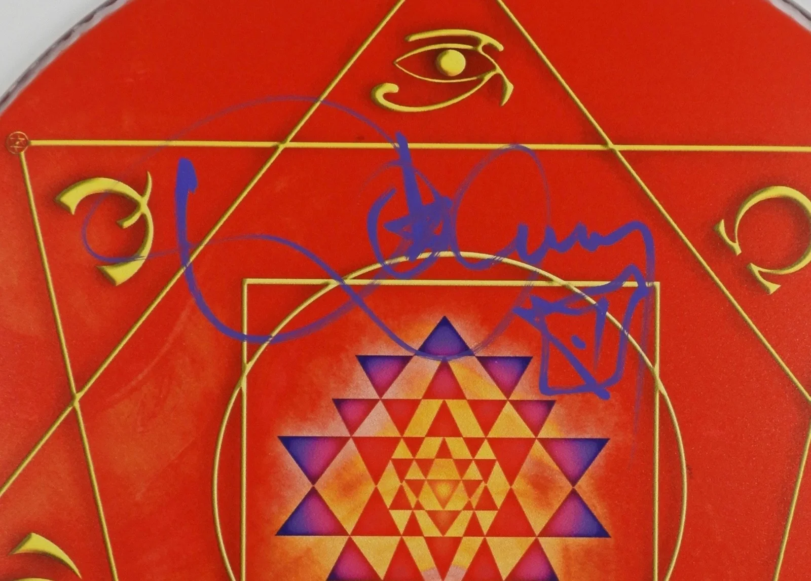 Danny Carey JSA Autograph Signed Drum Head 14" Tool, image 2