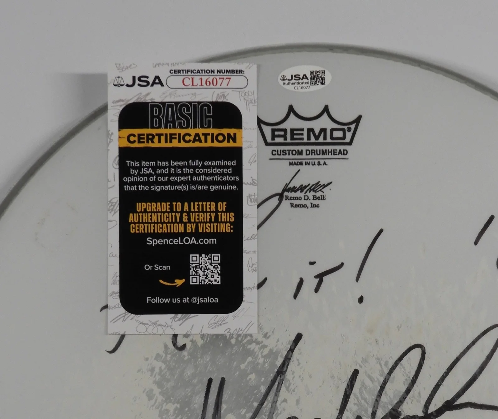Max Weinberg JSA Signed Autograph Drumhead Bruce Springsteen and the E Street, image 3