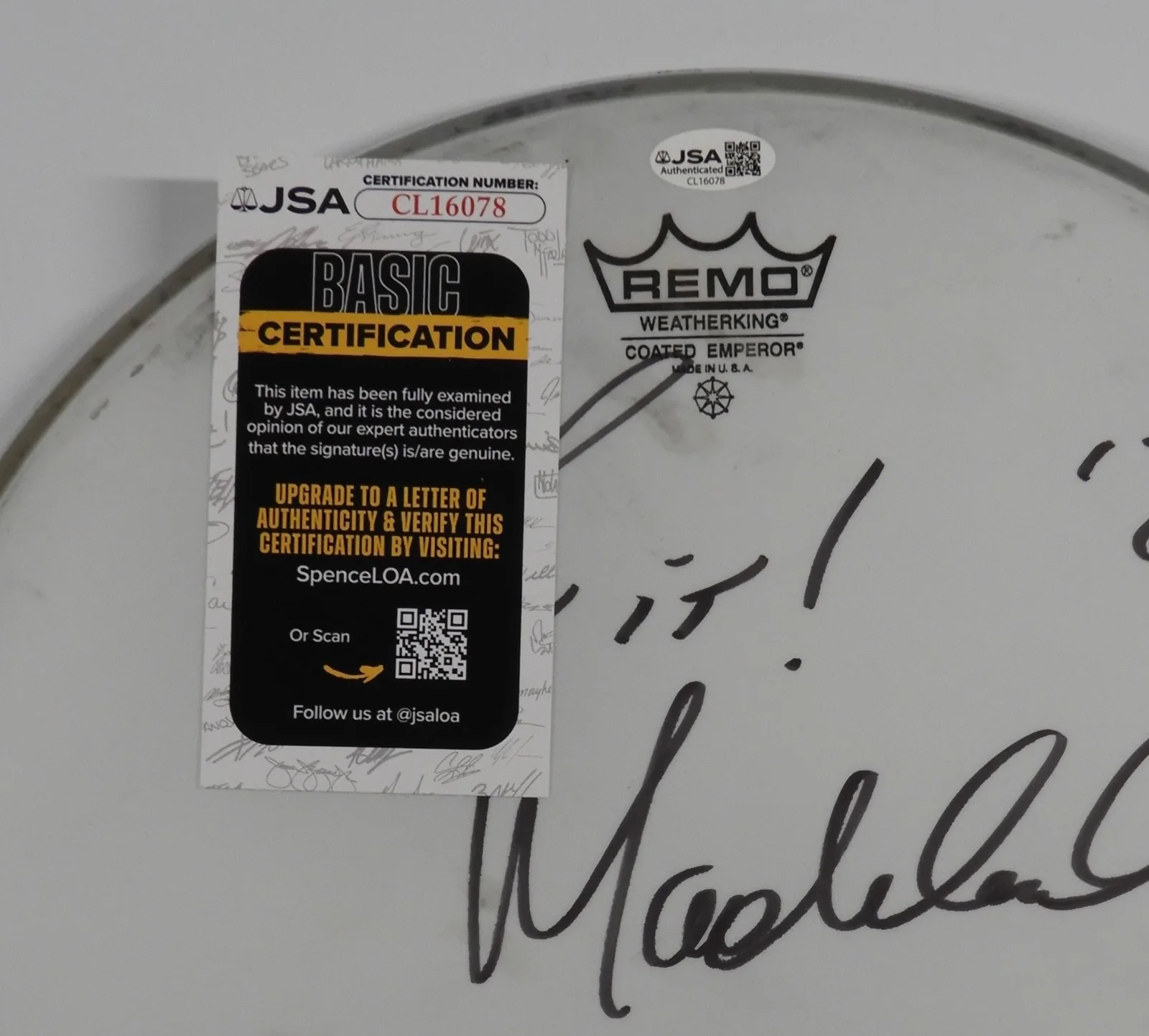 Max Weinberg JSA Signed Autograph Drumhead Bruce Springsteen and the E Street, image 3