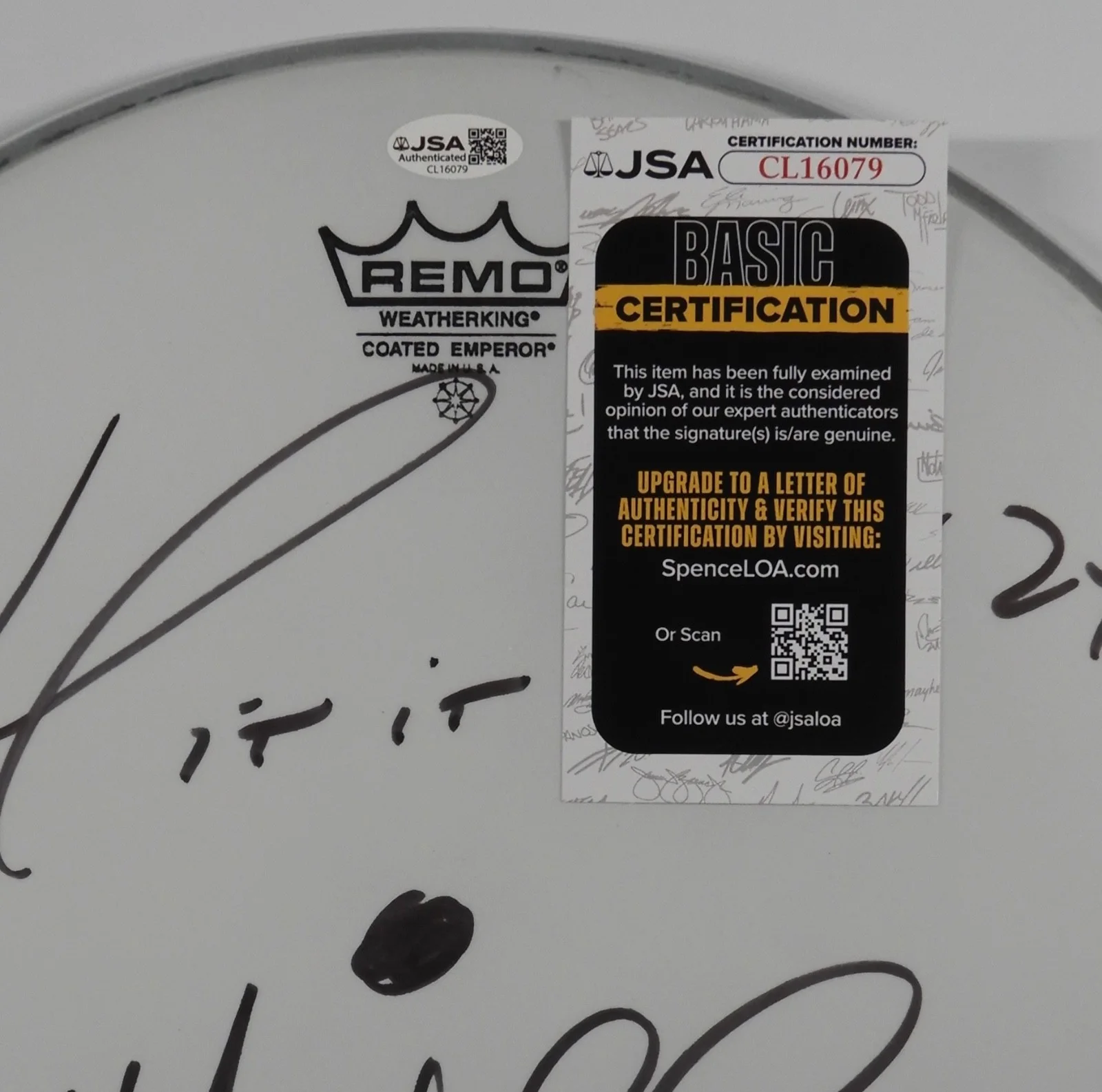 Max Weinberg JSA Signed Autograph Drumhead Bruce Springsteen and the E Street, image 3
