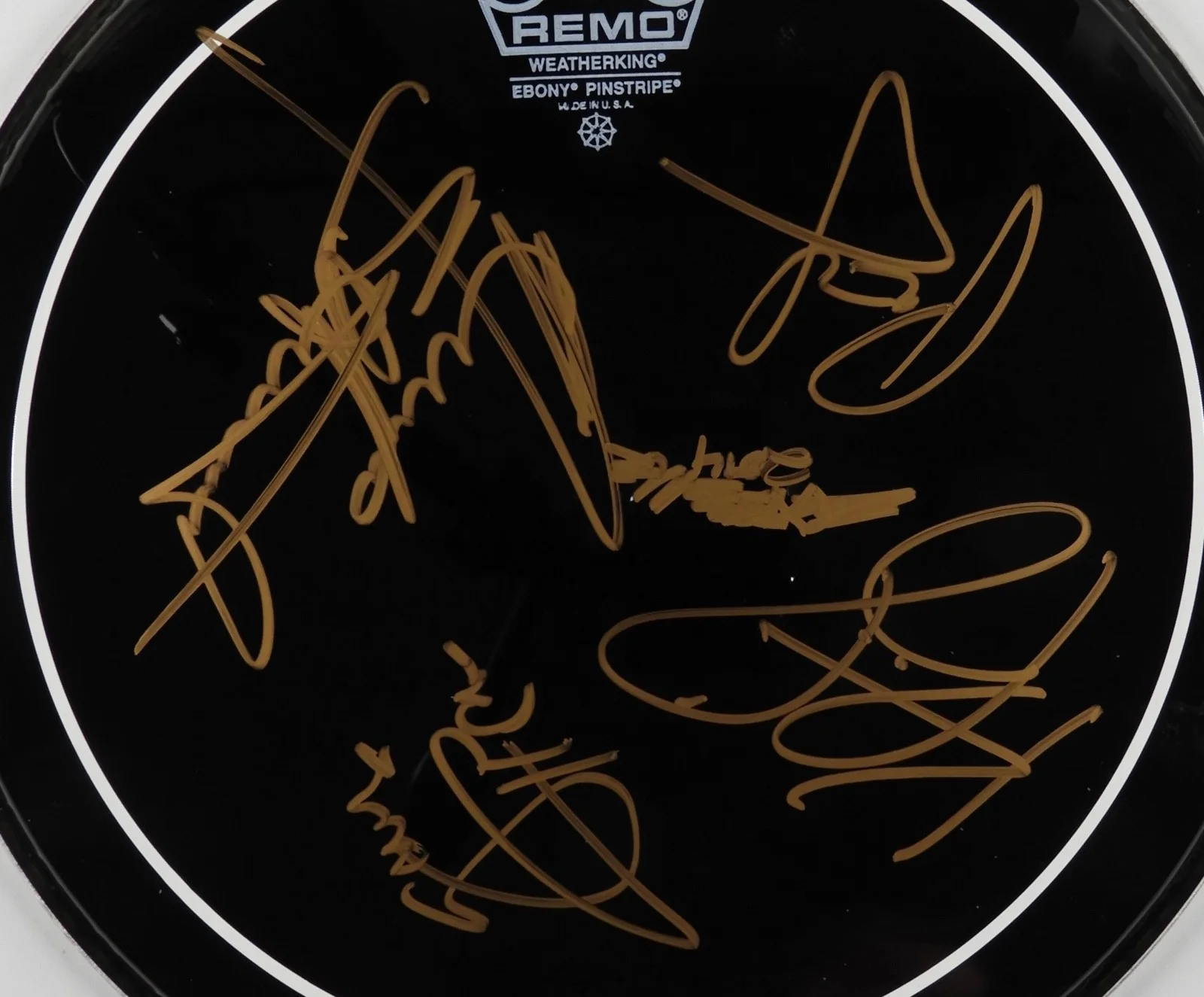 Extreme Autograph Signed Drum Head JSA COA 12", image 2