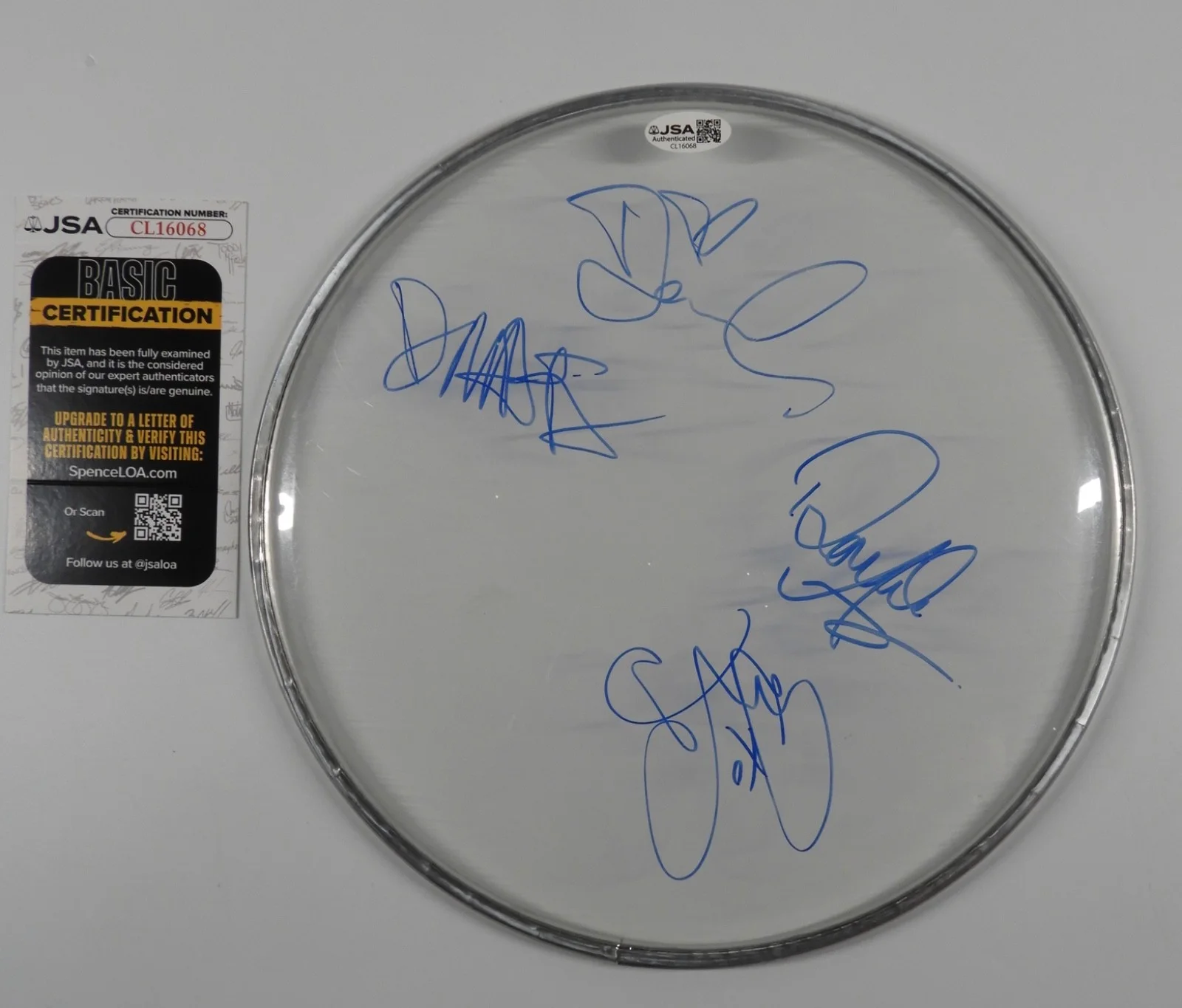 The Donnas Autograph Signed Drum Head JSA COA 10", image 2