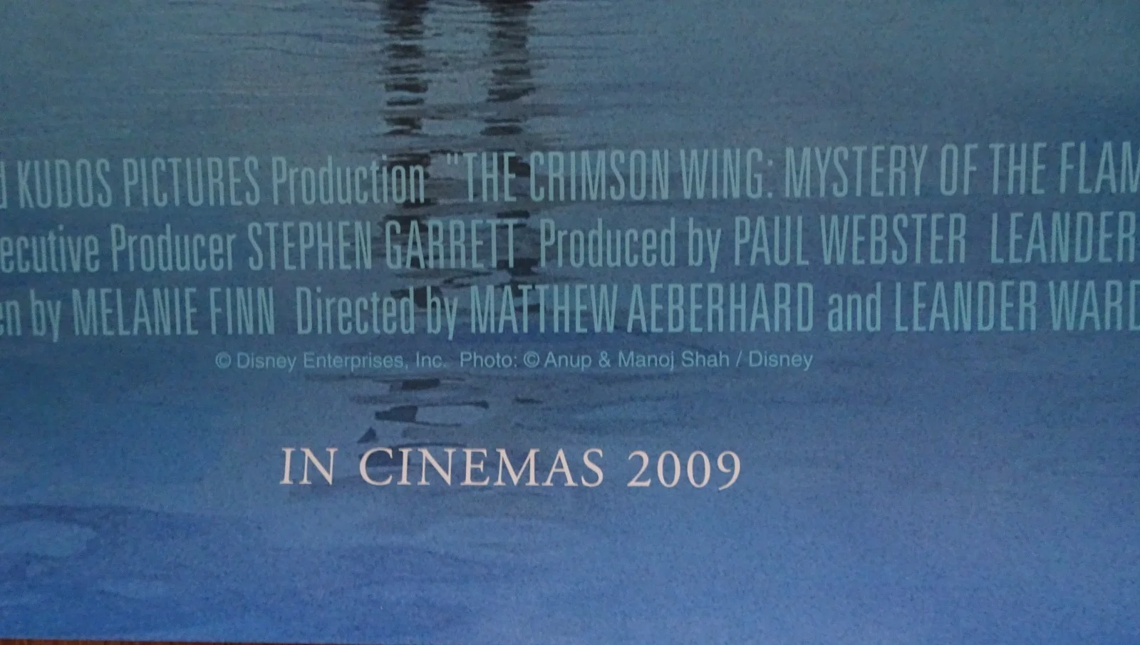 The Crimson Wing Flamingo Poster Cinema Poster One Sheet Disney Nature 2009, изображение 4