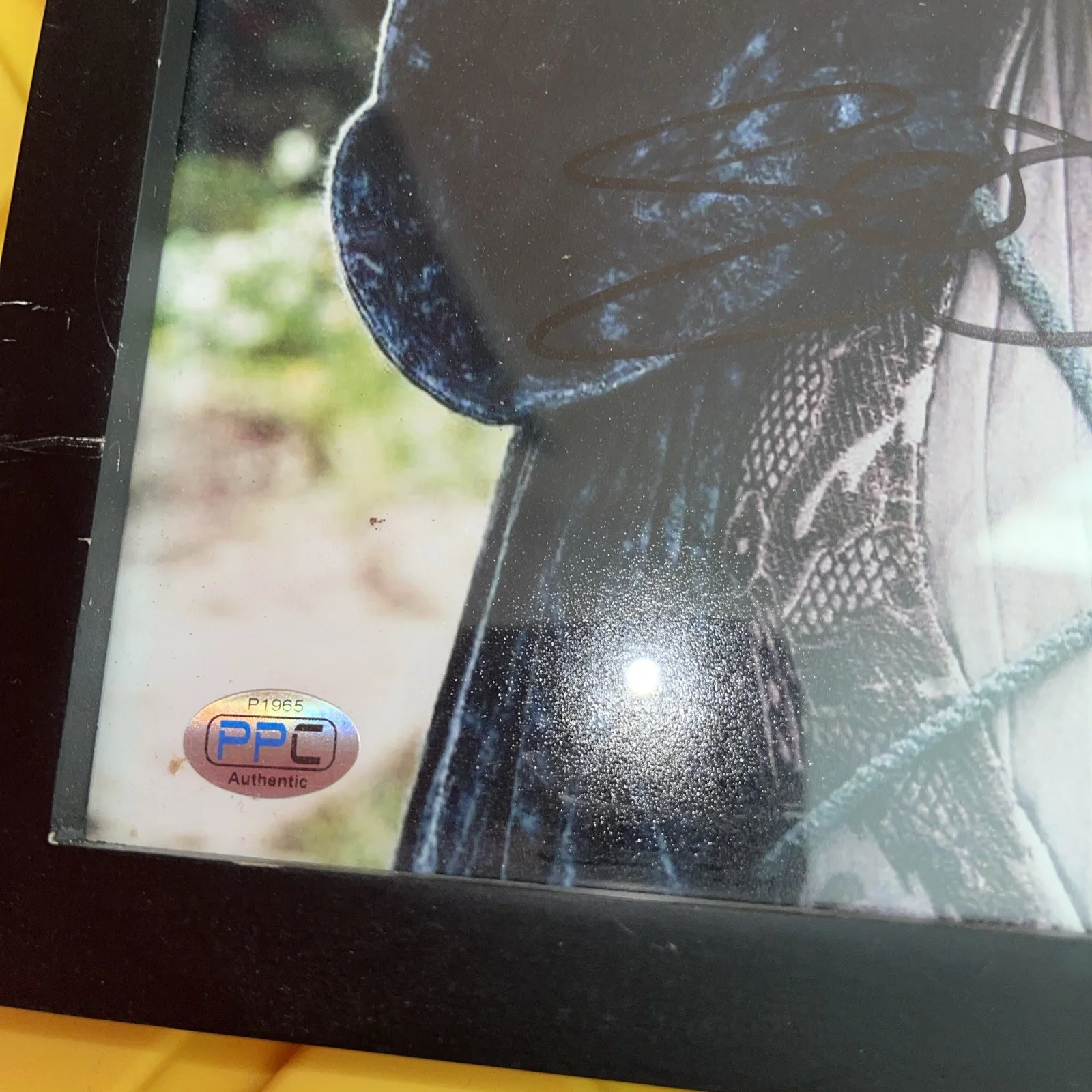 Sophie Turner as Sansa Stark in Game Of Thrones signed 8x10 photo COA, image 3