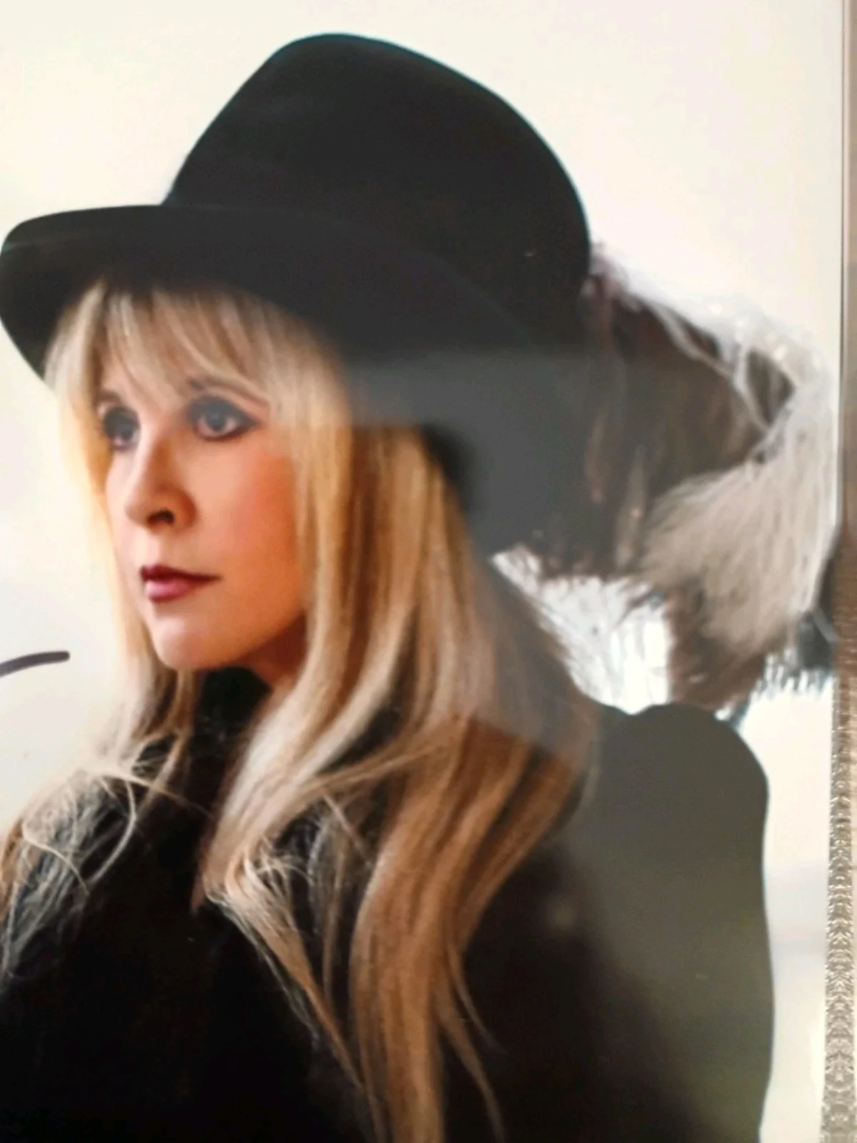 Stevie Nicks Signed Fleetwood Mac 8x10 Photo w/COA & Matching Numbered Sticker, image 2