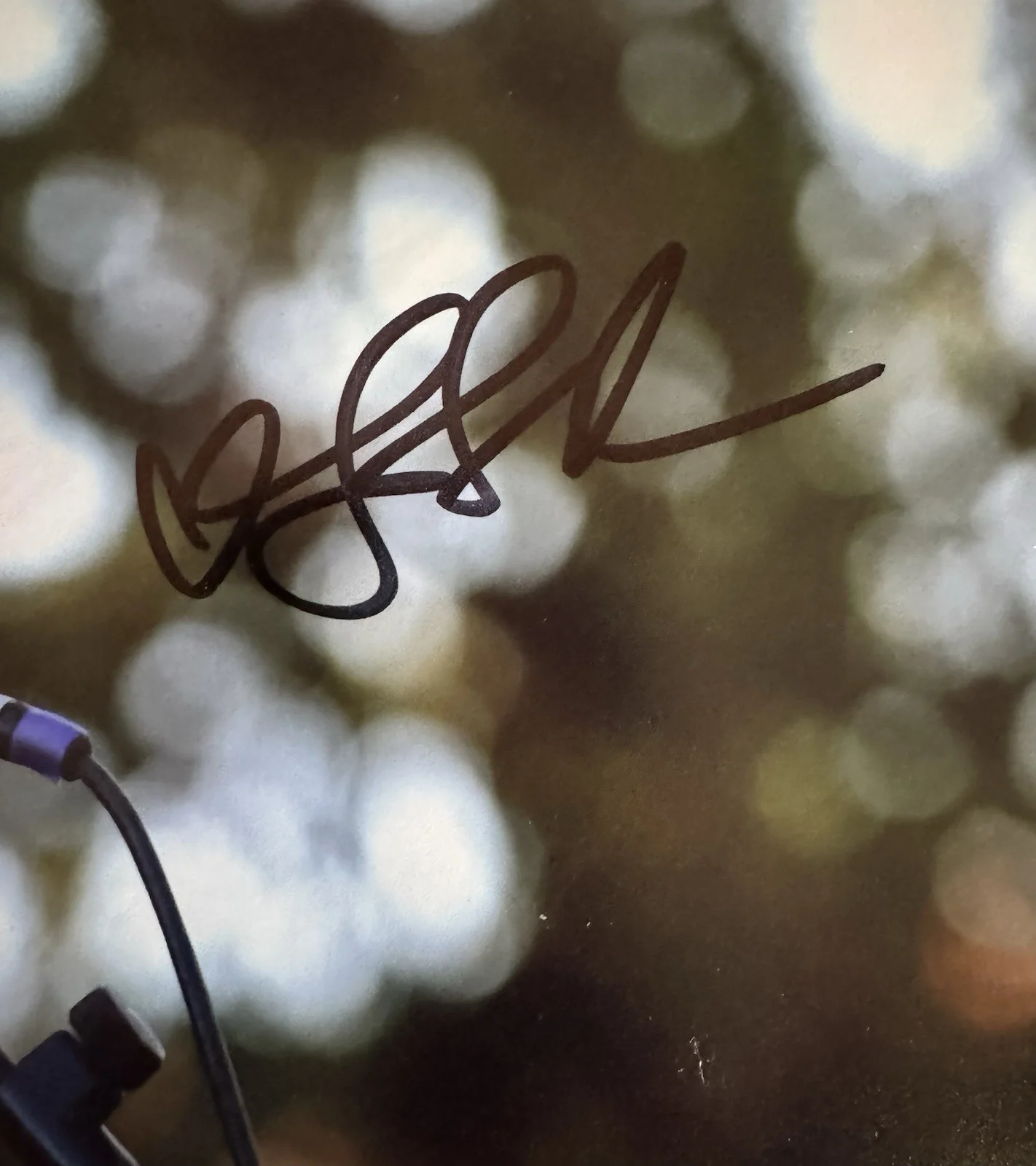 Lisa Loeb Signed 8 X 10 Photo Beckett COA Grammy Singer Songwriter musician, изображение 2