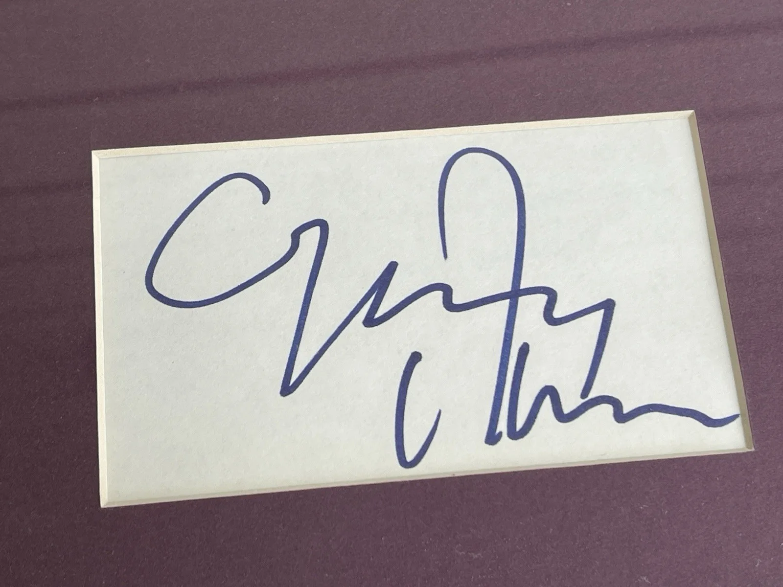 Gary Oldman — Bram Stoker's Dracula Movie Signed Gary Oldman Winona Ryder Autograph Framed, изображение 3