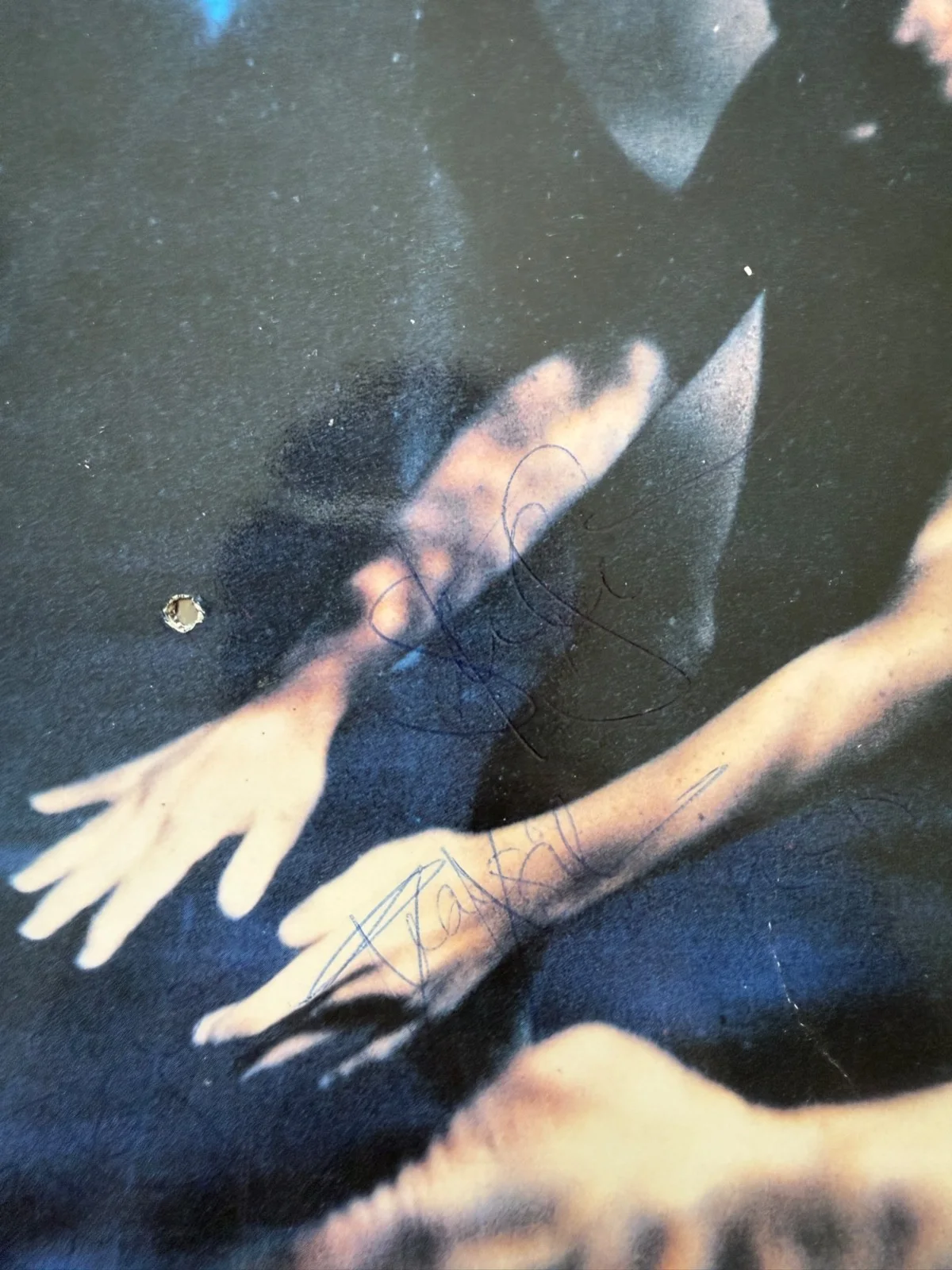 Siouxsie & The Banshees : Scream LP signed x4 autographed vinyl w/ Robert Smith, image 2