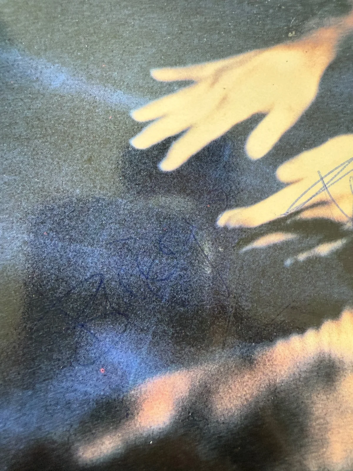 Siouxsie & The Banshees : Scream LP signed x4 autographed vinyl w/ Robert Smith, image 3