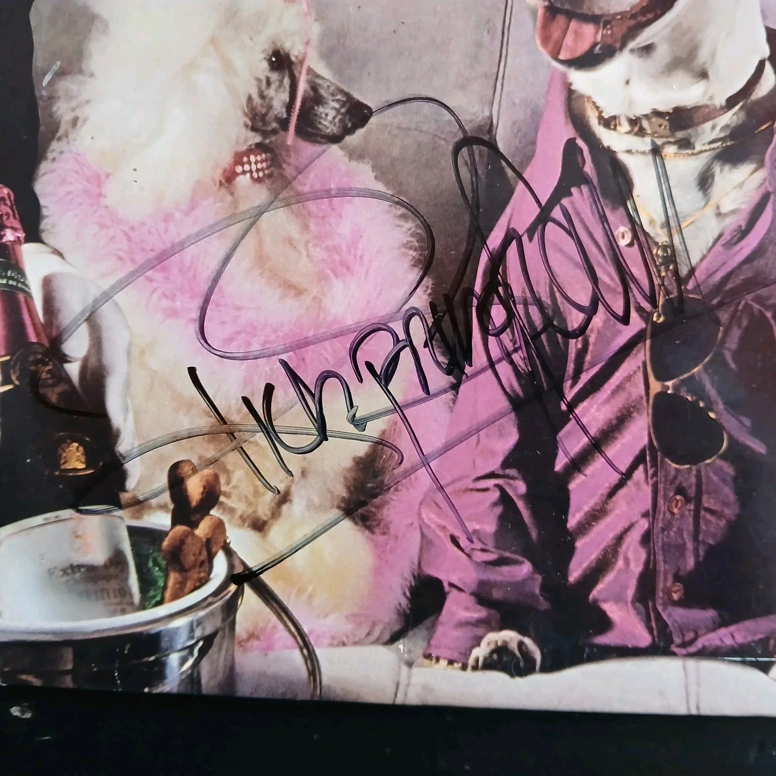 rick springfield signed lp success hasn't spolied me yet record album, image 4