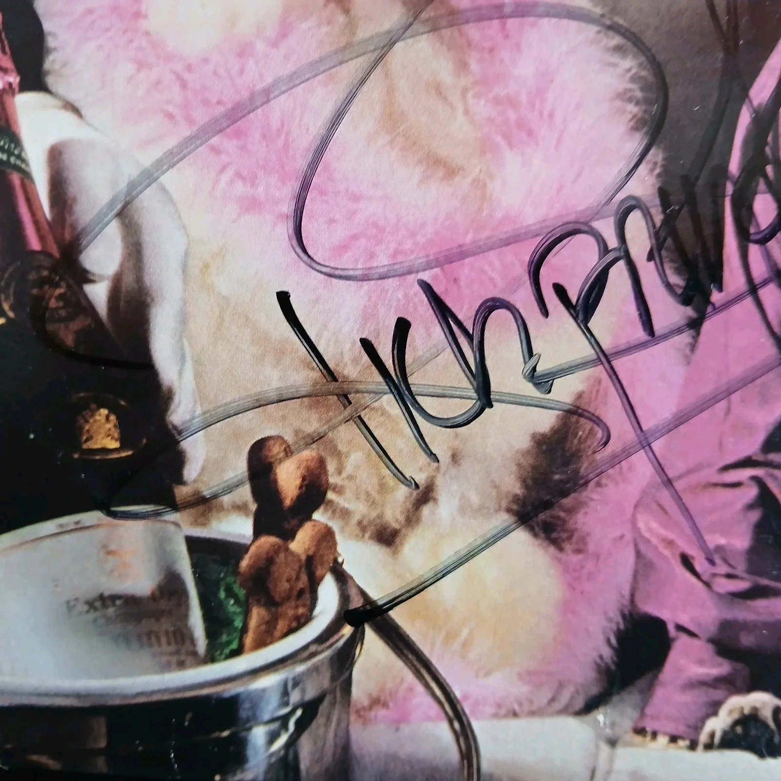 rick springfield signed lp success hasn't spolied me yet record album, image 5