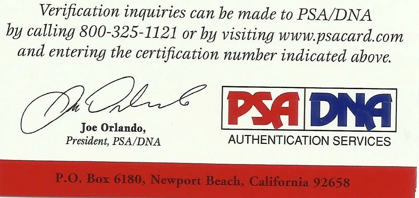 Adrian Young No Doubt Signed Autograph PSA/DNA Authenticated 8x10 Photo, image 4