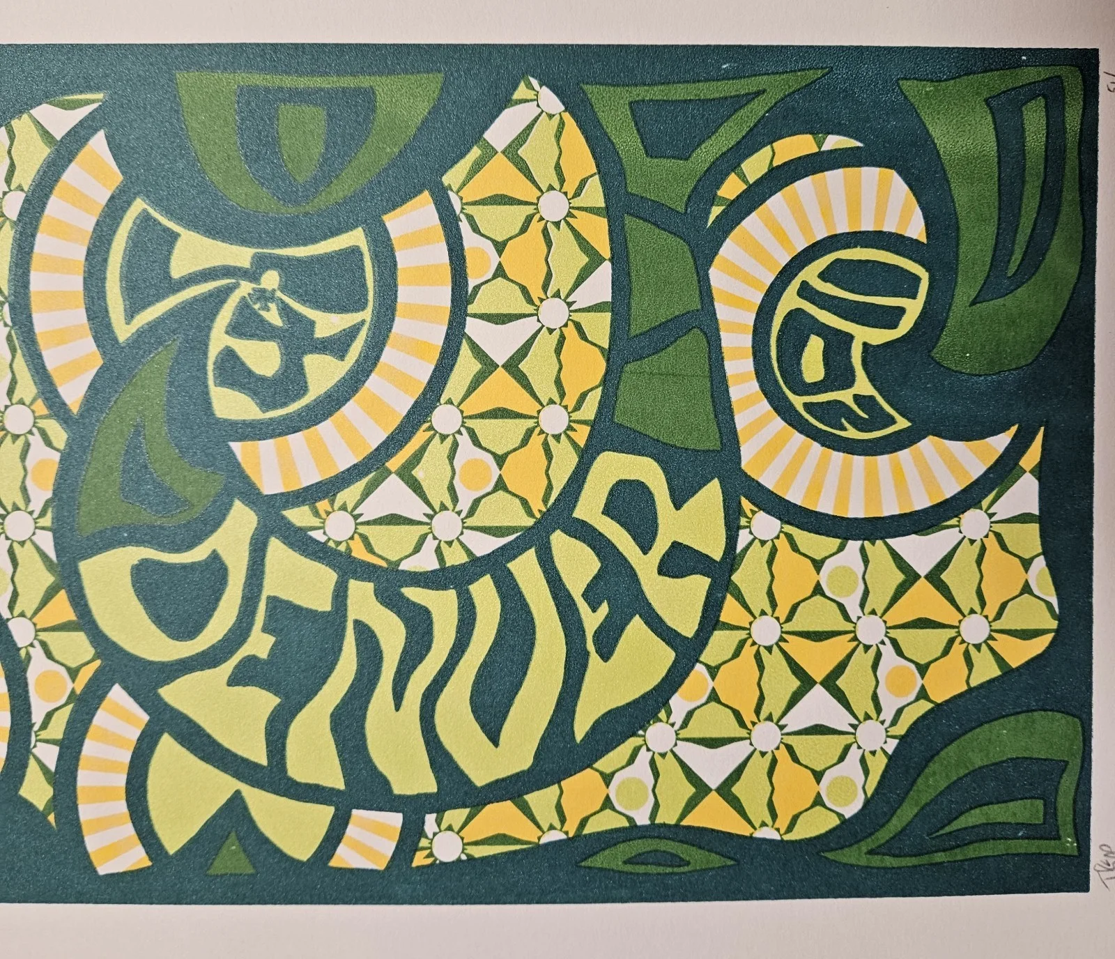 51/60 Signed Ltd Ed MOE Silkscreen Art Print Concert Poster Denver Colorado 2011, image 4