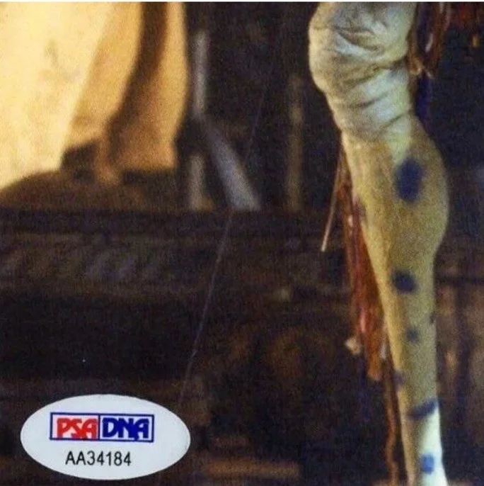 TIM ROSE — TIM ROSE Signed Auto STAR WARS "Sy Snootles" 8x10 Official Pix OPX 8x10 PSA/DNA, изображение 3