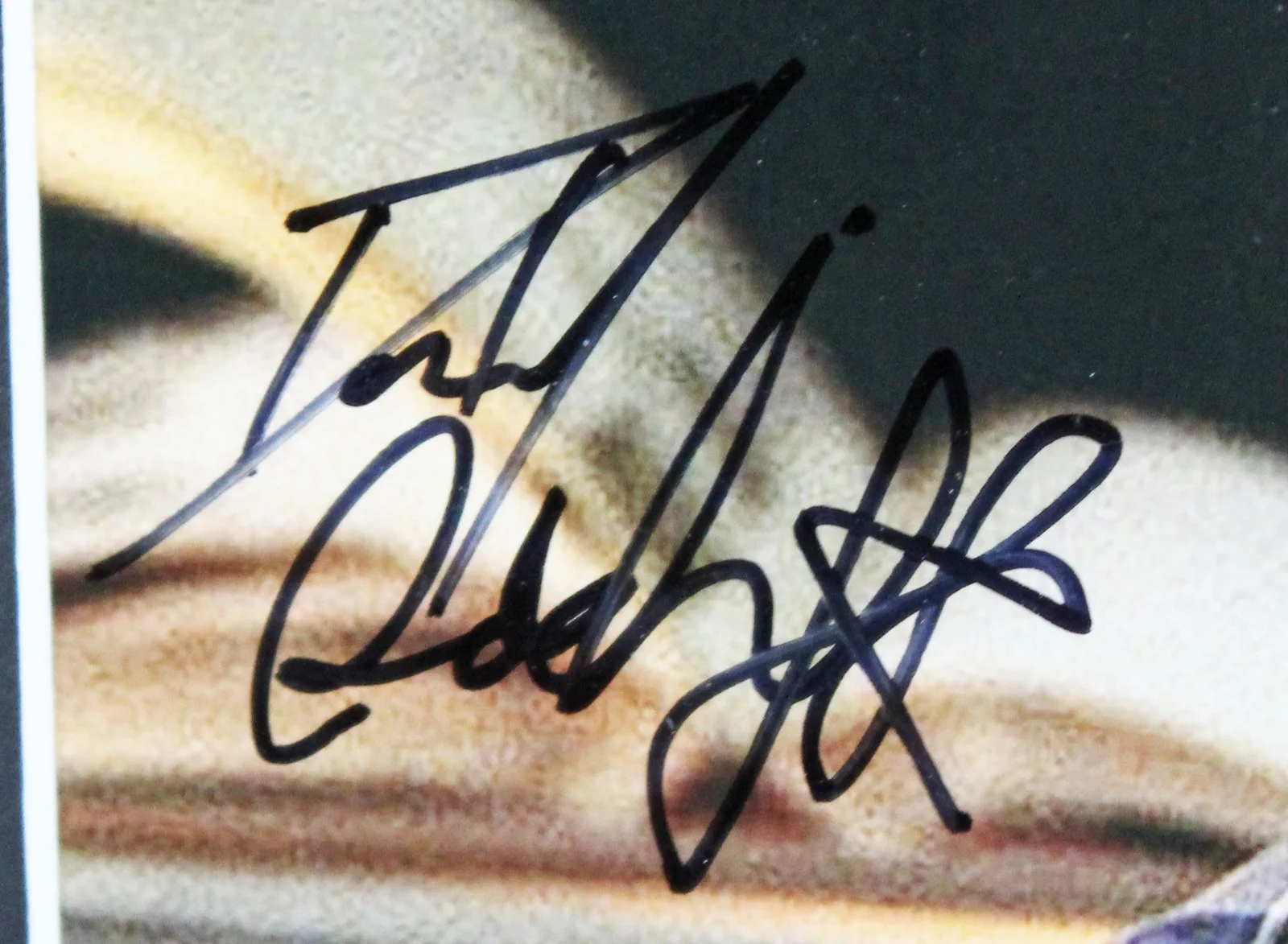 Daniel Radcliffe — Daniel Radcliffe Harry Potter Authentic Signed Framed Display PSA/DNA #AM42565, image 2