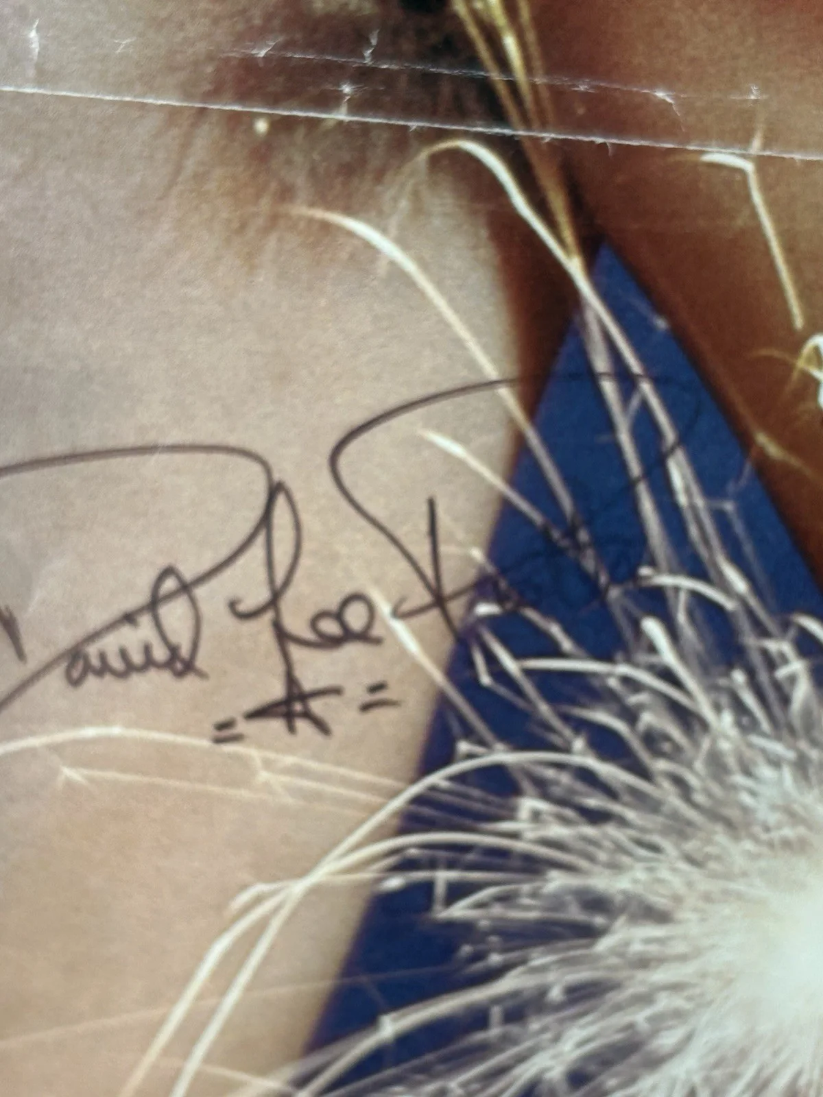 David Lee Roth Signed in person 1980's 30x 20 poster AUTOGRAPH VAN HALEN, изображение 2