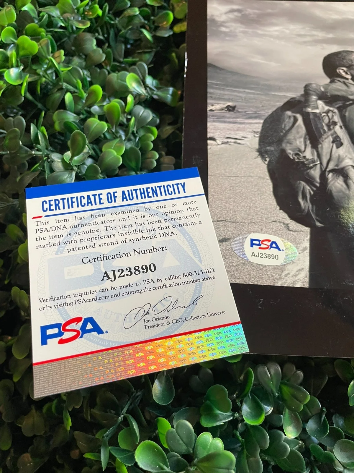 Denzel Washington — DENZEL WASHINGTON Signed THE BOOK OF ELI 8x10 Autograph Photo - PSA/DNA #AJ23890, изображение 4