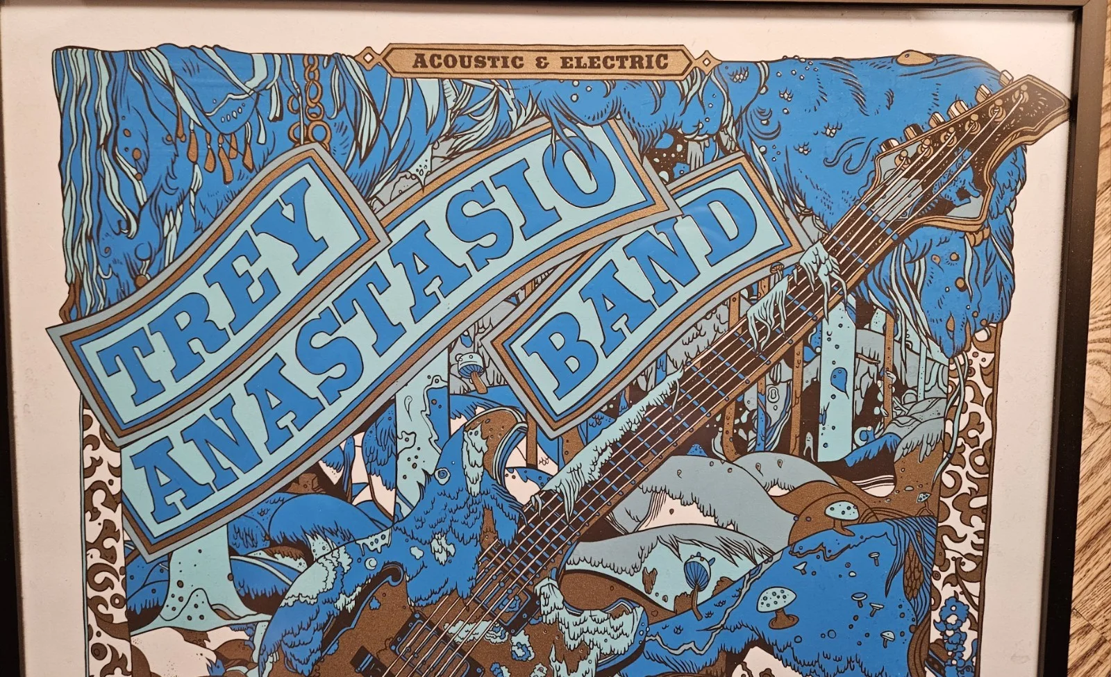 35/90 Signed Ltd Ed TREY ANASTASIO BAND Concert Poster Ogden Thetr Colorado 2011, изображение 2