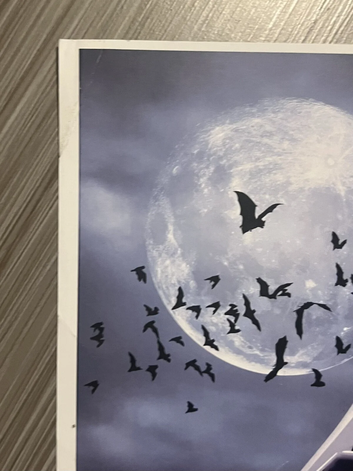 Christopher Jones — Christopher Jones bat wolf print january 2015 signed 17”x11”, image 4