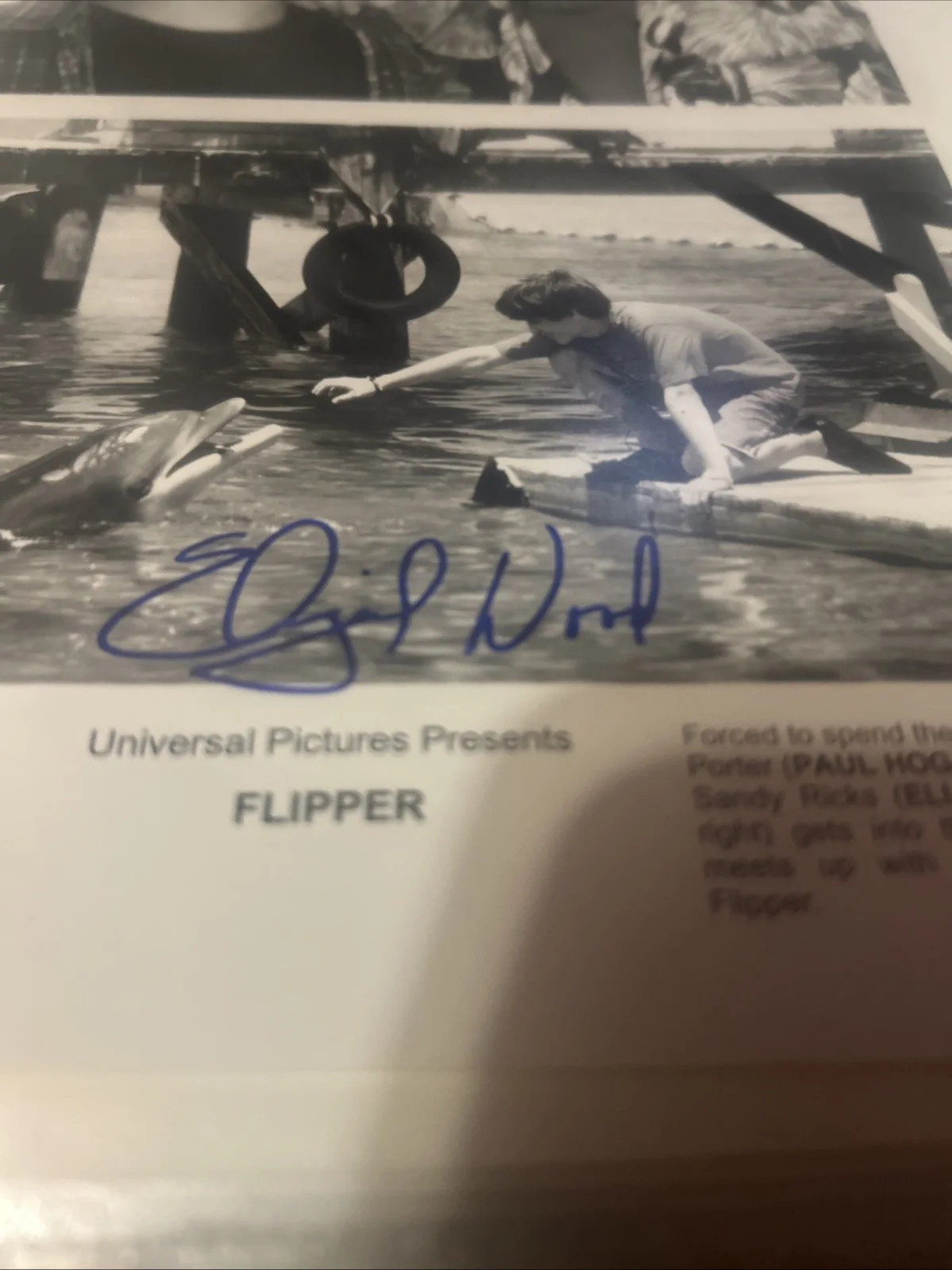 Elijah Wood, Paul Hogan — Paul Hogan And Elijah Wood Autographed Authentic 8 X 10 Flipper Phot, изображение 4