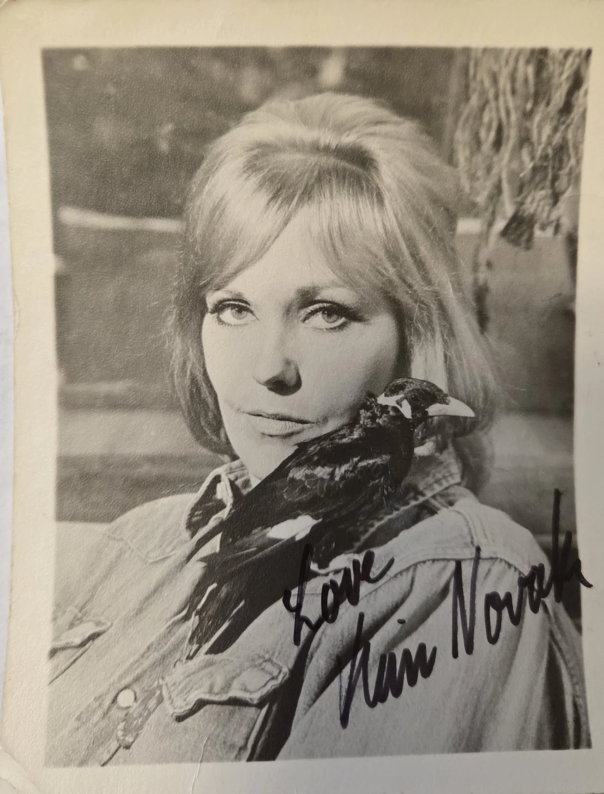 Kim Novak — KIM NOVAK ~ Signed/Autographed 4x5 Photo Circa 1979