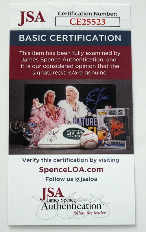 JENNY BERGGREN - Ace Of Base — Jenny Berggren signed ACE OF BASE "THE SIGN" 12X12 Photo EXACT PROOF b JSA COA, изображение 2