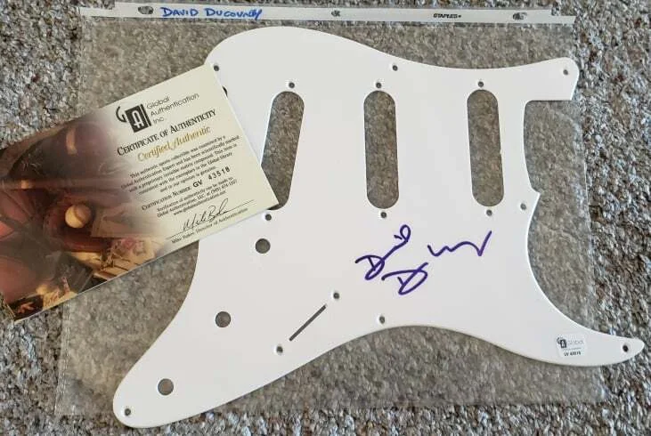 David Duchovny: Signed Guitar Pickguard with COA, image 2