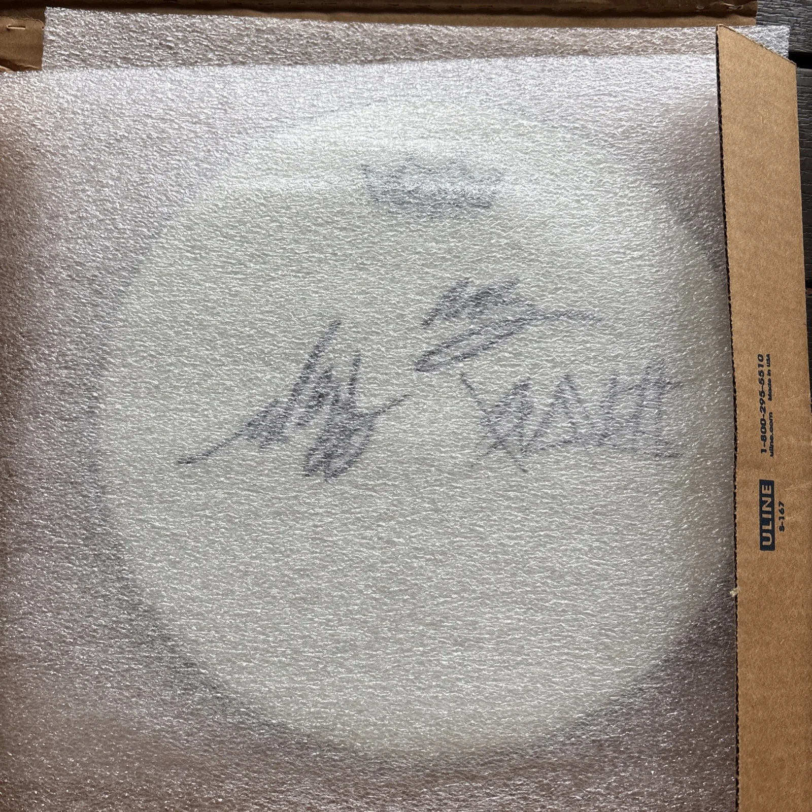 Signed blink 182 Remo Autographed Drumhead Mark Hoppus Travis Barker Matt Skiba, изображение 2