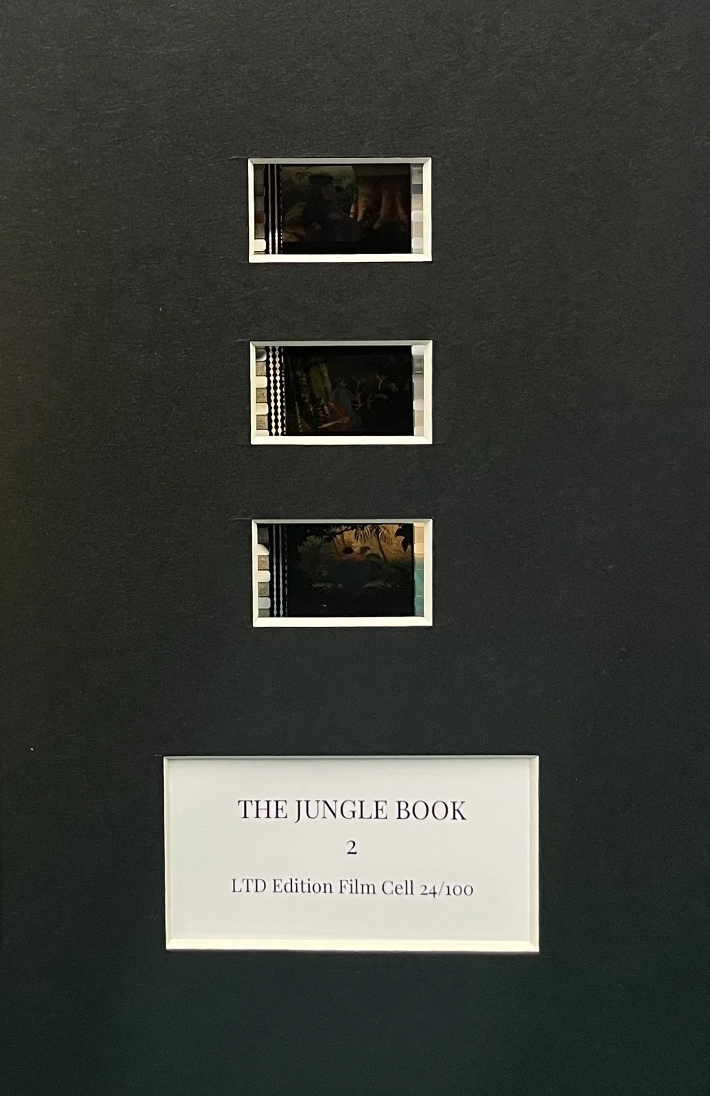 THE JUNGLE BOOK 2. . 35mm Film Cell Mounted Display, image 3