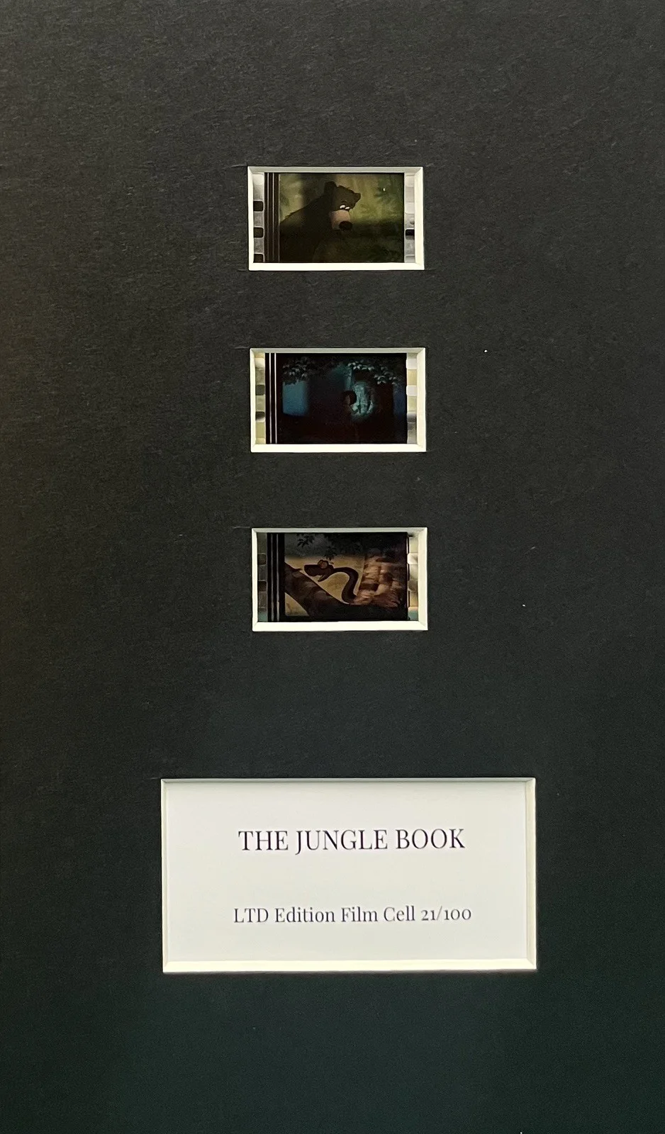 THE JUNGLE BOOK. 35mm Film Cell Mounted Display, изображение 2