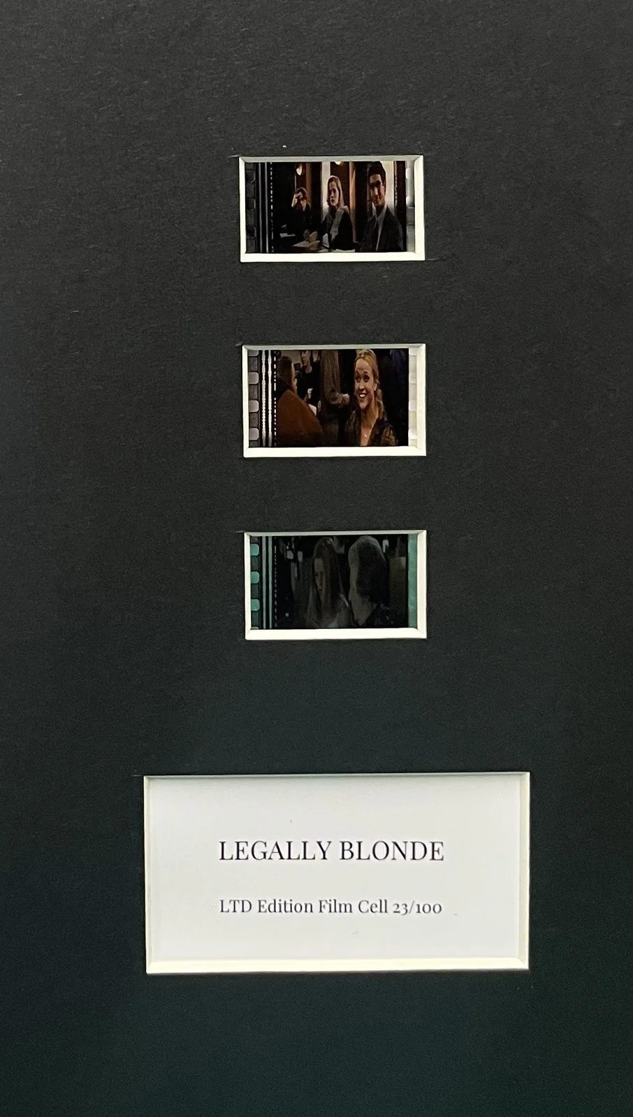 LEGALLY BLONDE . 35mm Film Cell Mounted Display, изображение 2