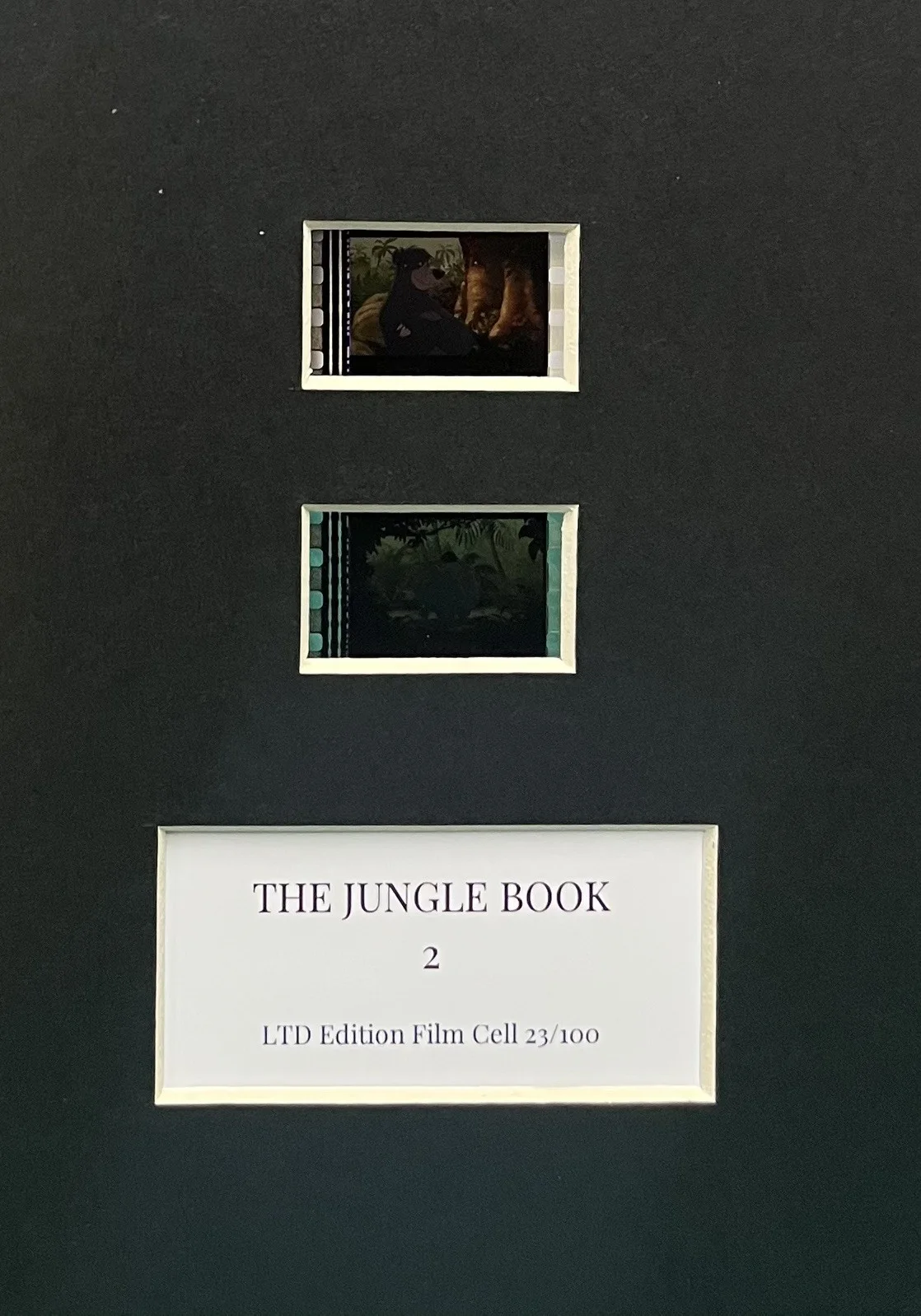 THE JUNGLE BOOK. 2. . 35mm Film Cell Mounted Display, image 3
