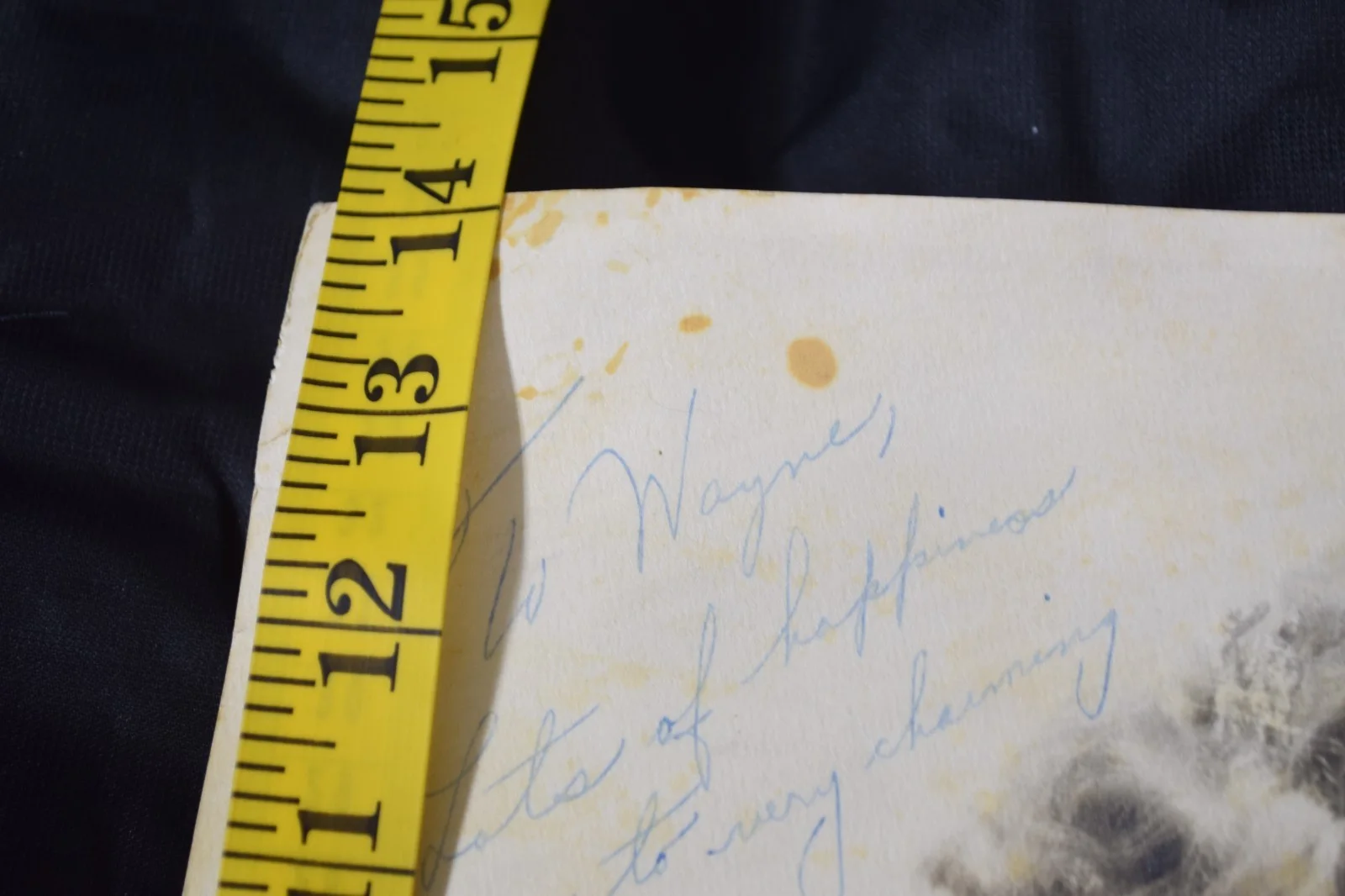 Debra Paget — ULTRA-RARE 1955 Debra Paget 14 x 11 AUTOGRAPHED PHOTO READ Description INFO, image 5