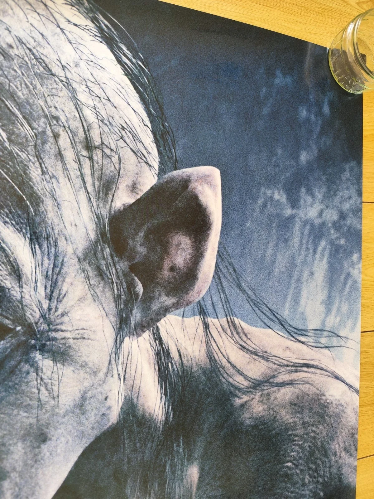 🎯 The Lord of the Rings: The Return of the King – DS One Sheet – Gollum, изображение 5