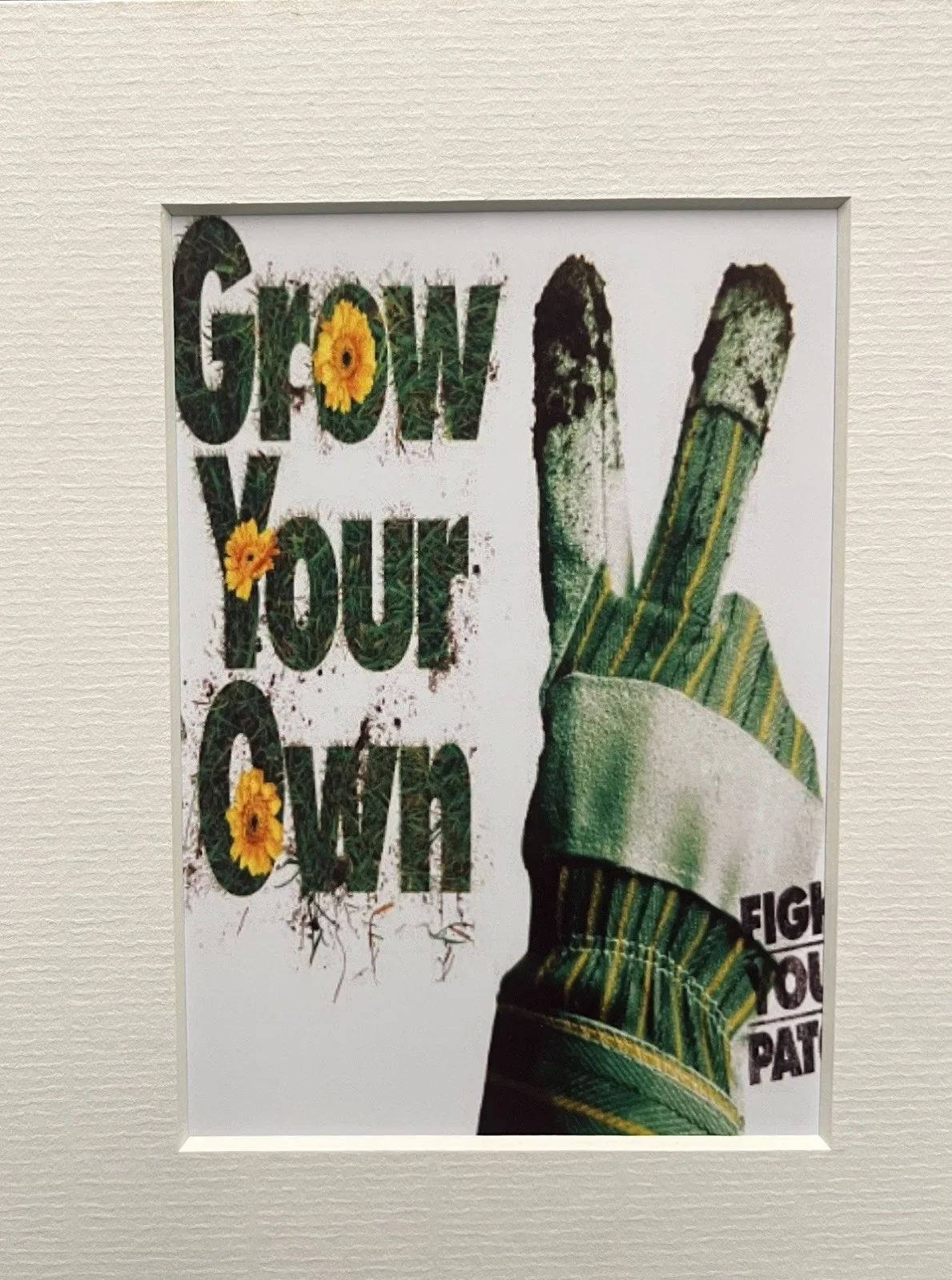 GROW YOUR OWN . 35mm Film Cell Mounted Display, изображение 2