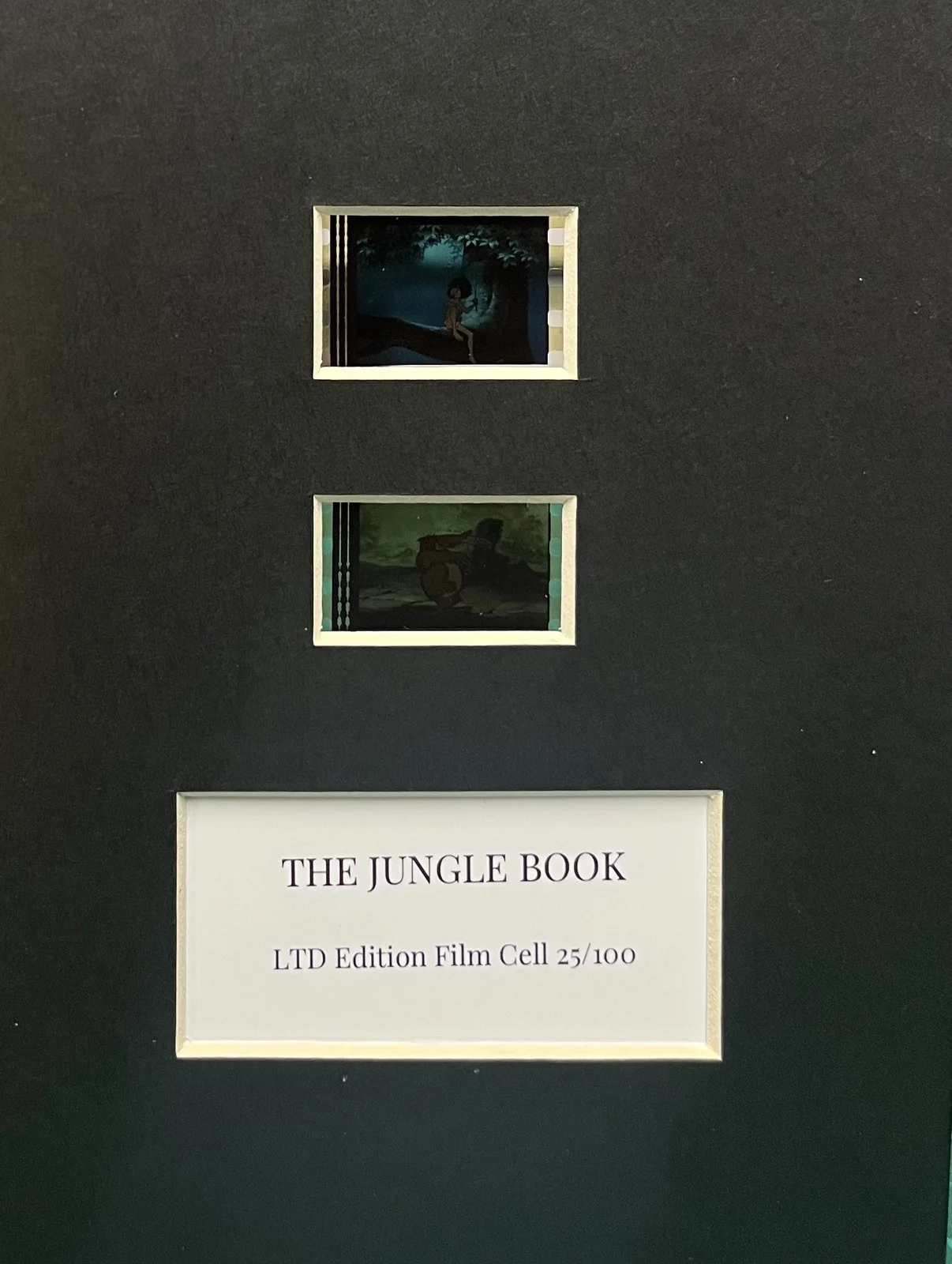 THE JUNGLE BOOK. . 35mm Film Cell Mounted Display, изображение 2