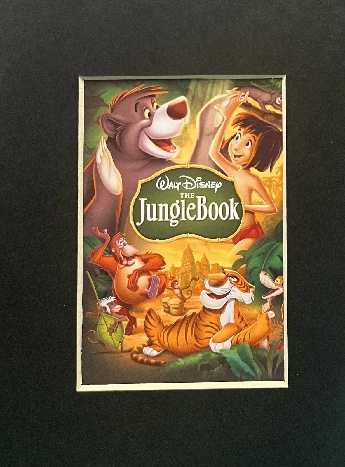 THE JUNGLE BOOK. . 35mm Film Cell Mounted Display, изображение 3