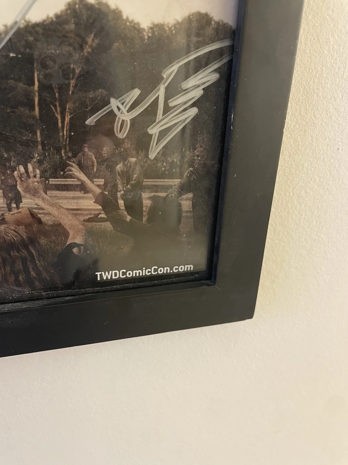 Walking Dead Season 2 Signed Poster SDCC Autographed Cast. RARE Limited, image 2