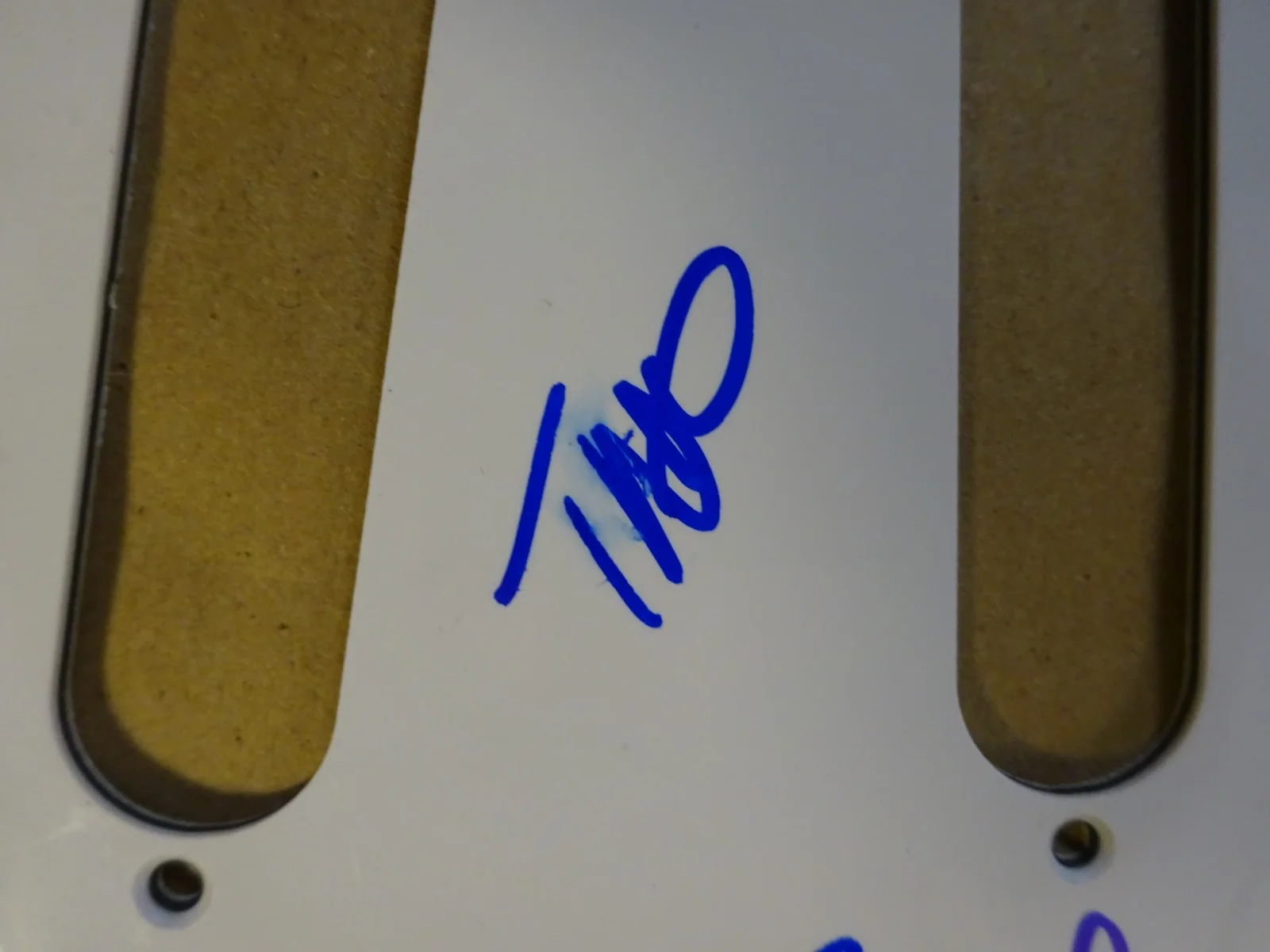 Signed Maneskin Pick Guard Autographed by Victoria De Angelis +3 BAS COA LOA, изображение 5