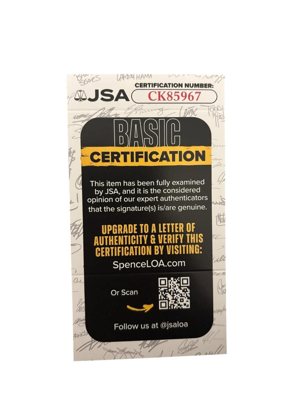 Jack Johnson — JACK JOHNSON SIGNED AUTOGRAPH TO THE SEA FRAMED & MATTED CD DISPLAY JSA CERT COA, image 2