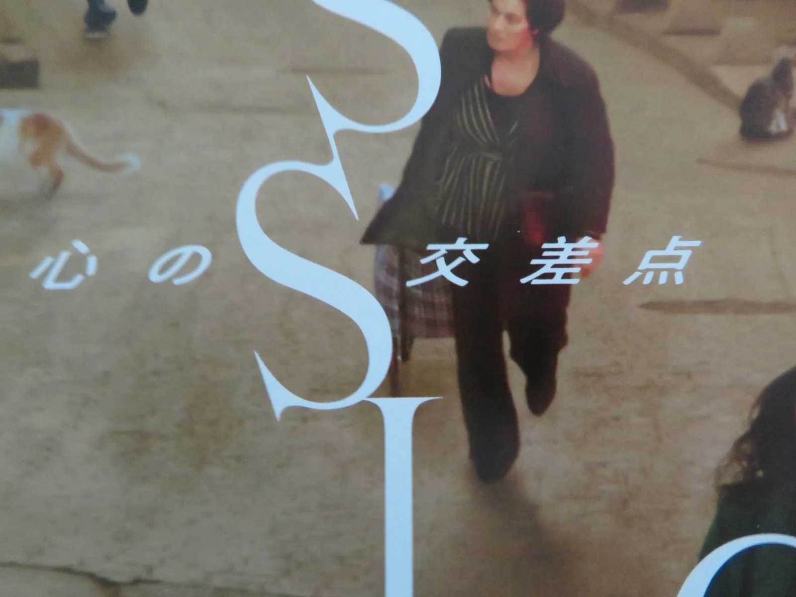 CROSSING JAPANESE CHIRASHI (B5) POSTER MZIA ARABULI LUCAS KANKAVA 2024, изображение 2