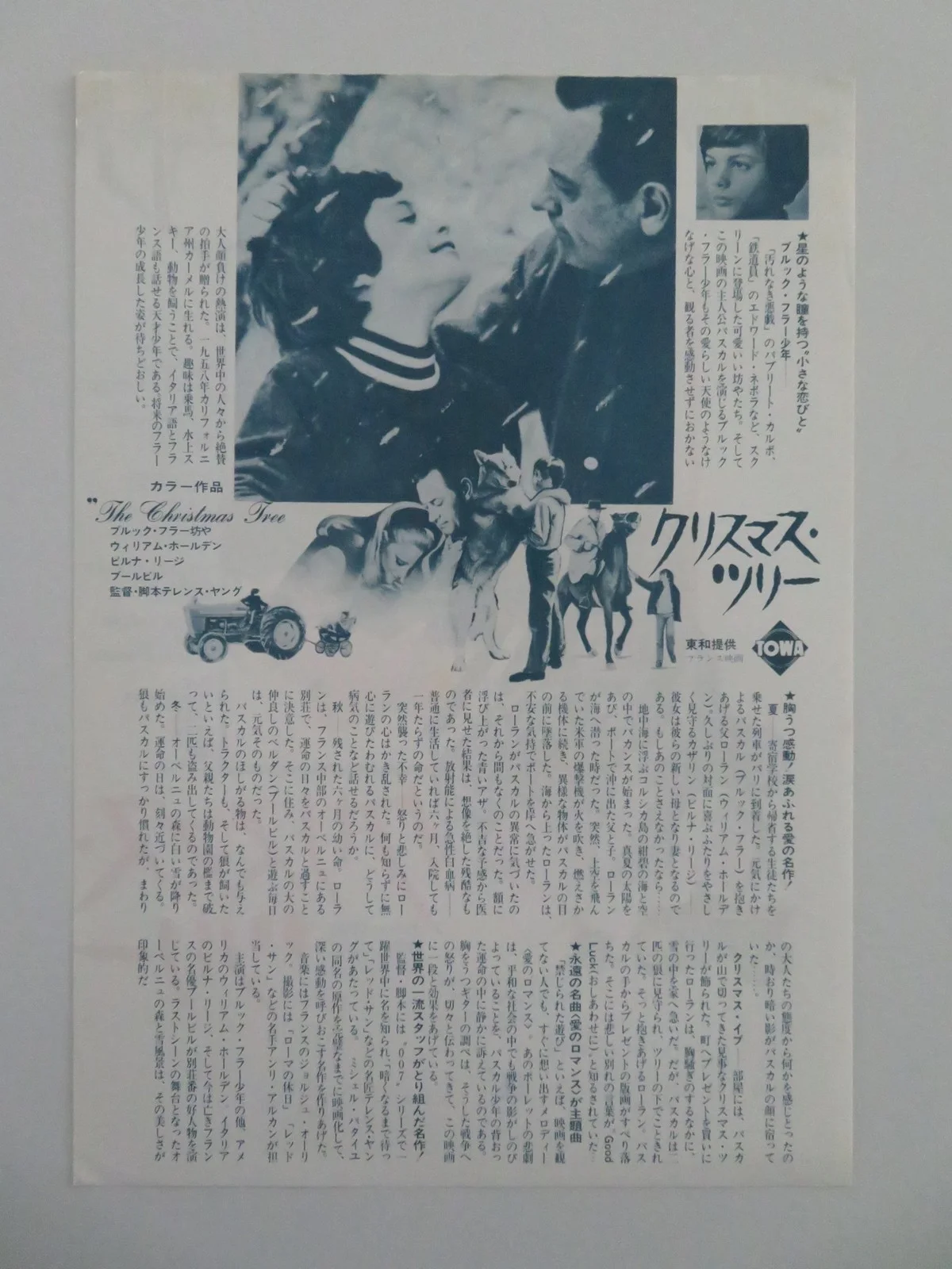 THE CHRISTMAS TREE JAPANESE CHIRASHI (B5) POSTER WILLIAM HOLDEN VIRNA LISI R1973, изображение 3